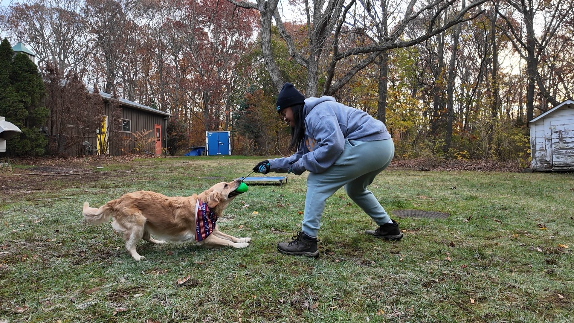 A woman playing tug-of-war with a golden retriever puppy in a backyard with trees and small buildings in the background.