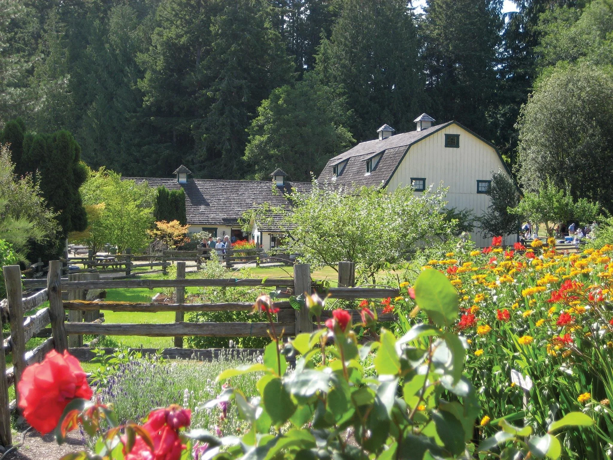 Concerts in the Barn