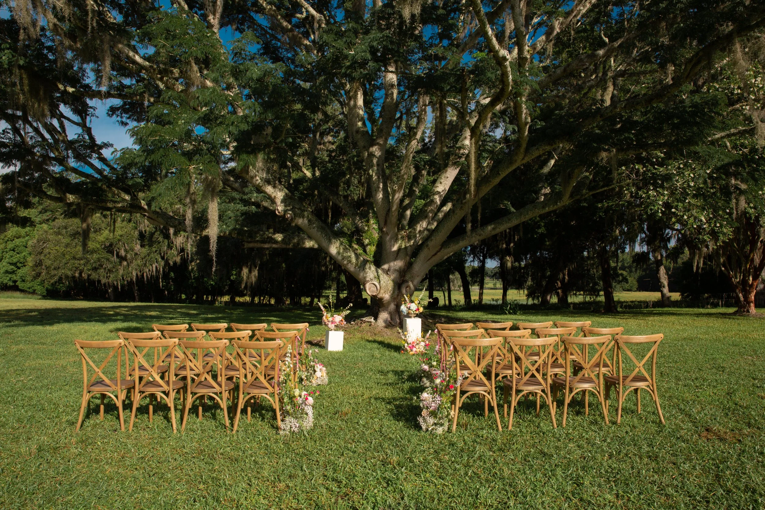 wedding ceremony bright & colorful