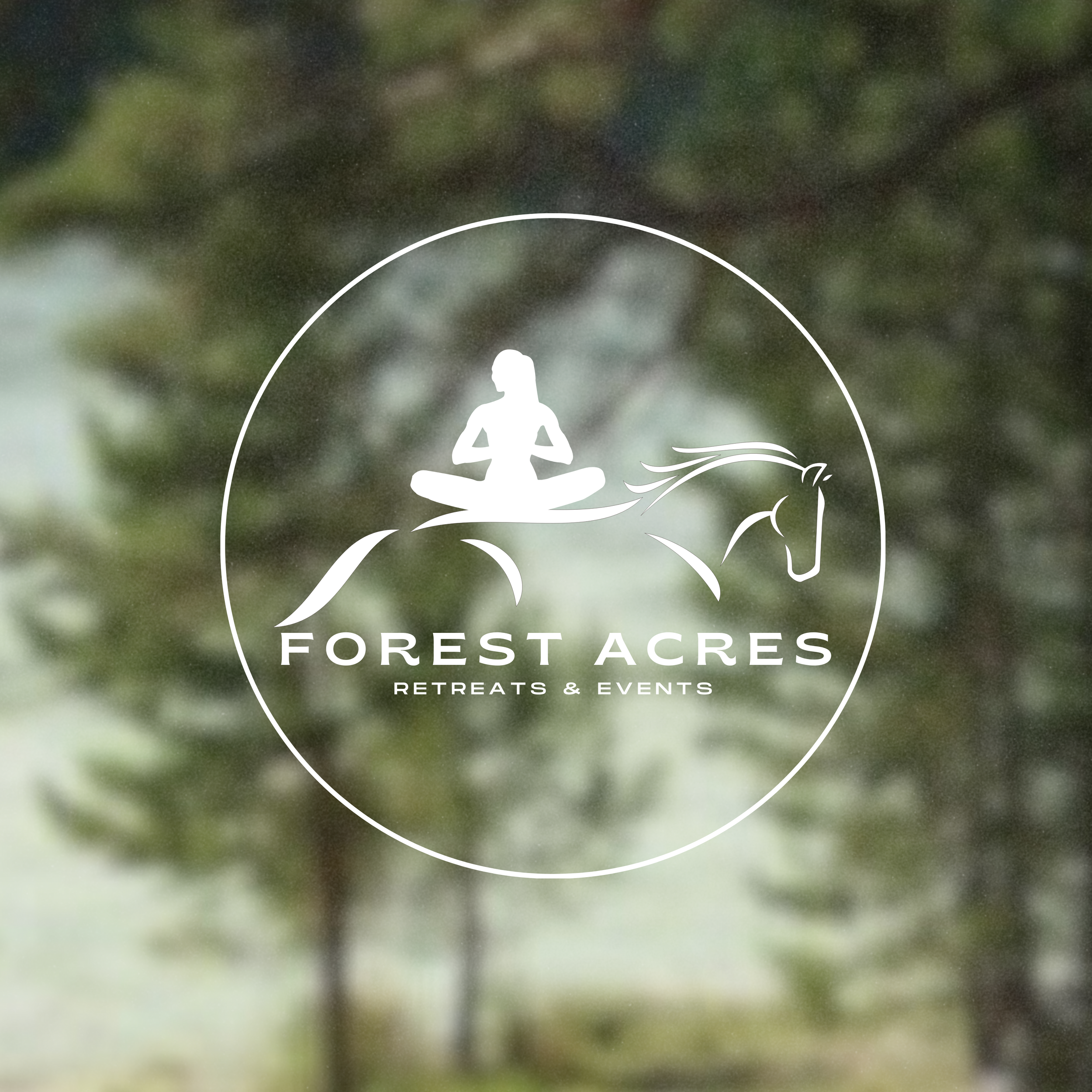 Logo for Forest Acres Retreats & Events featuring a silhouette of a person meditating on a mountain, with a horse's head below, set against a holiday tree background.