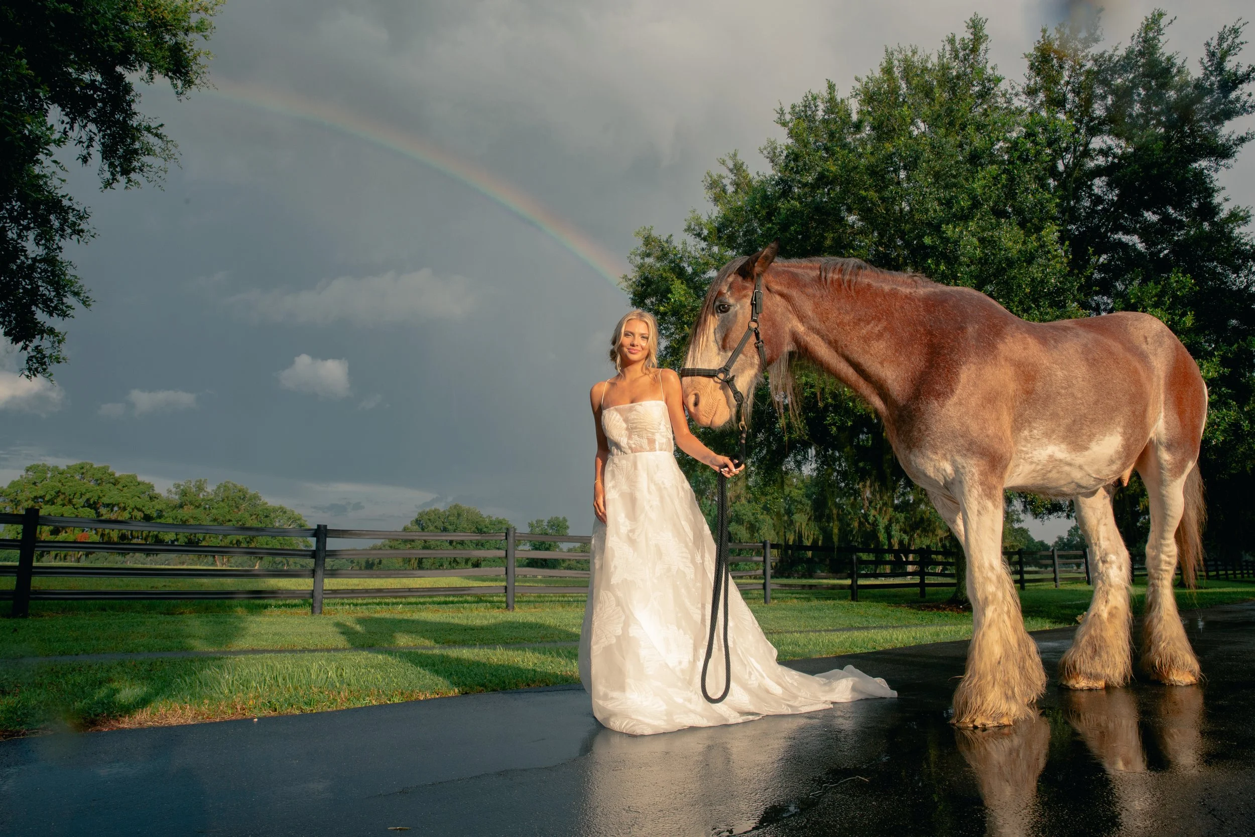 bride and horse with rainbow in background