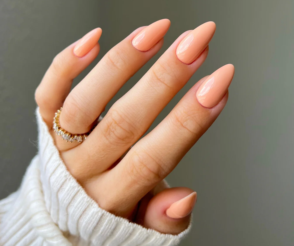 #071 Toasted Apricot