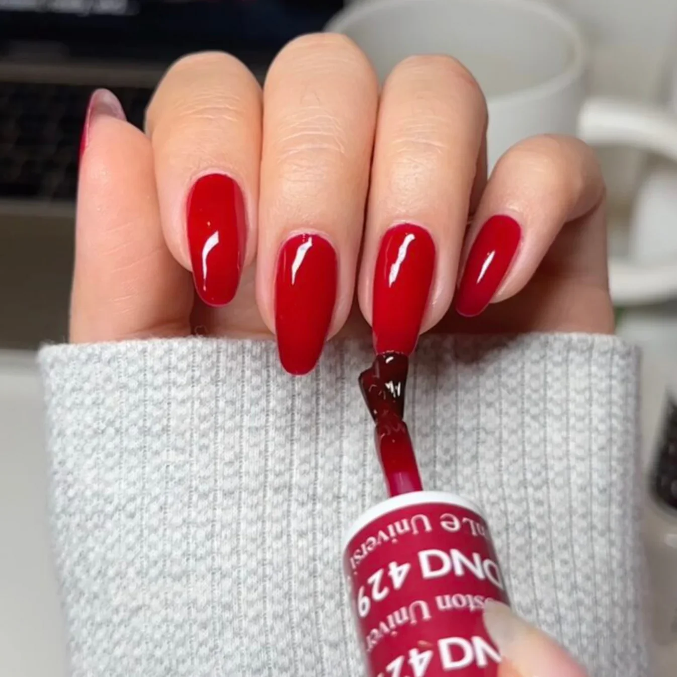 DND #429 Boston University Red