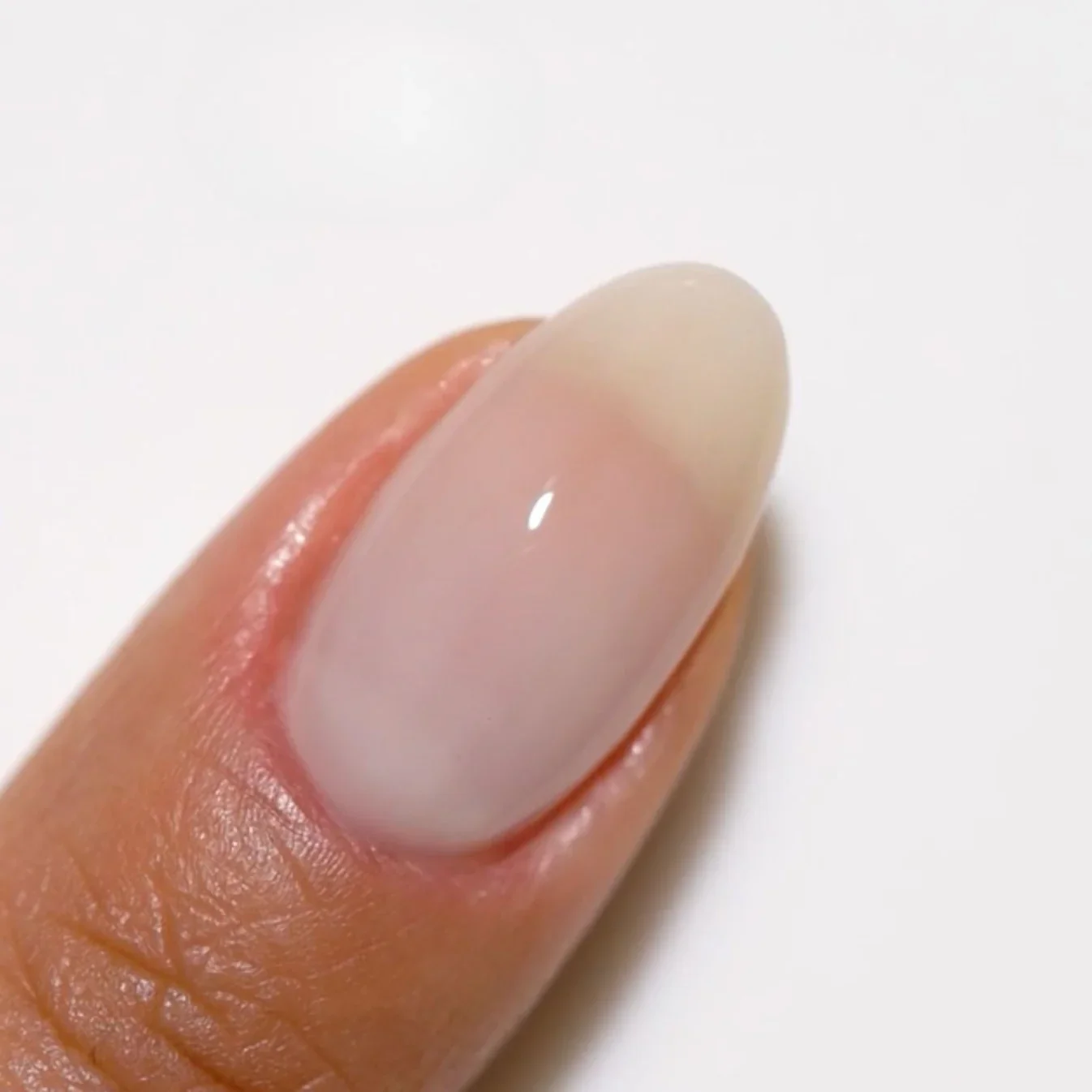 NEW! #2439 Milky White