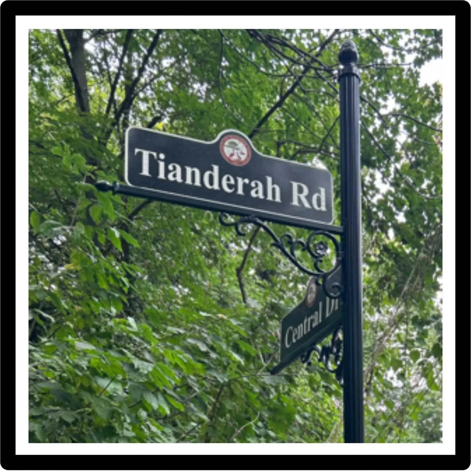 Custom Signs