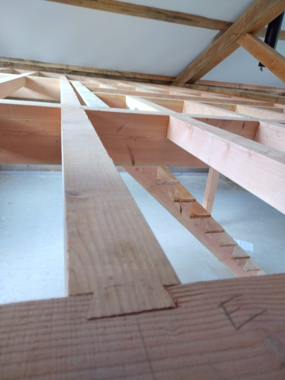 WhatsApp Image 2024-03-02 at 21.18.47.jpeg