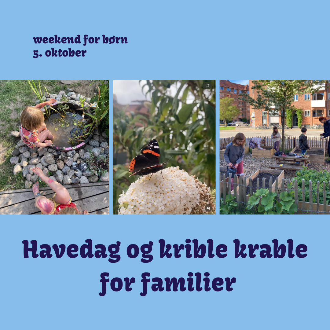 Havedag og krible krable for familier