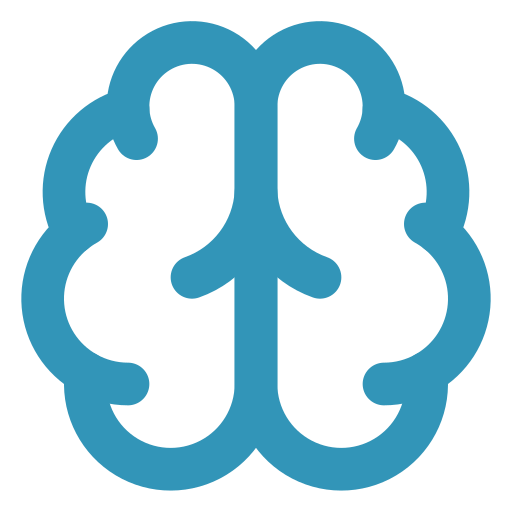 THE BRAIN