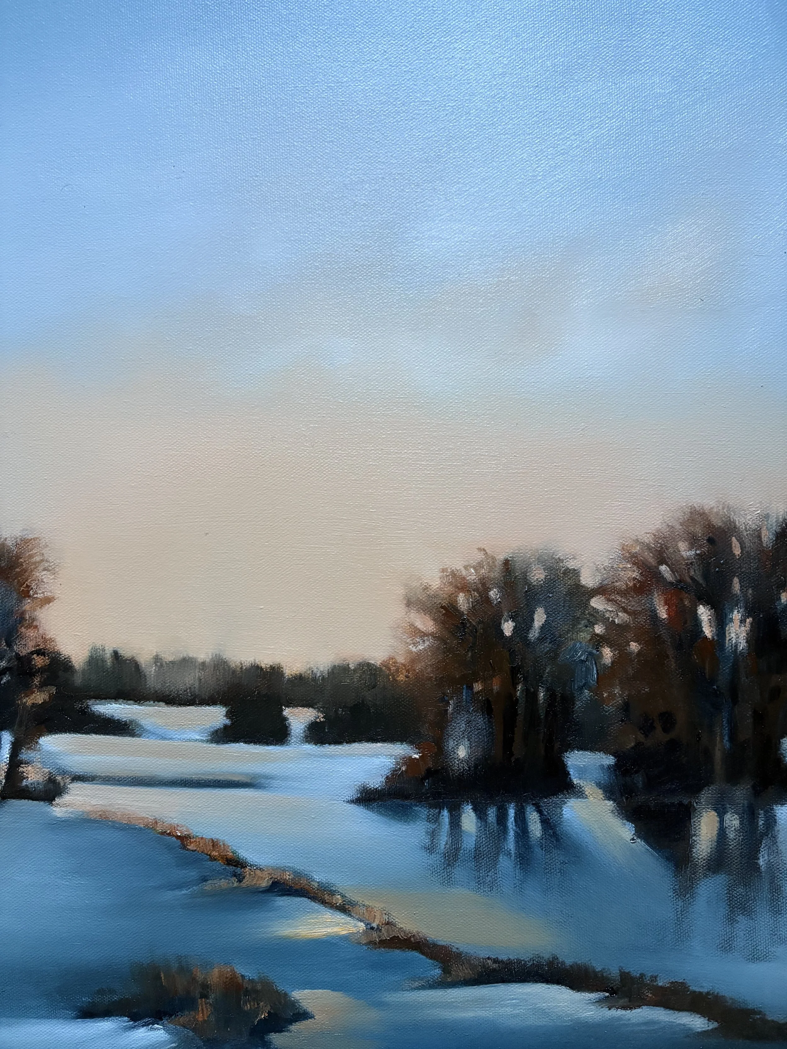 Evenging Light detail.jpg