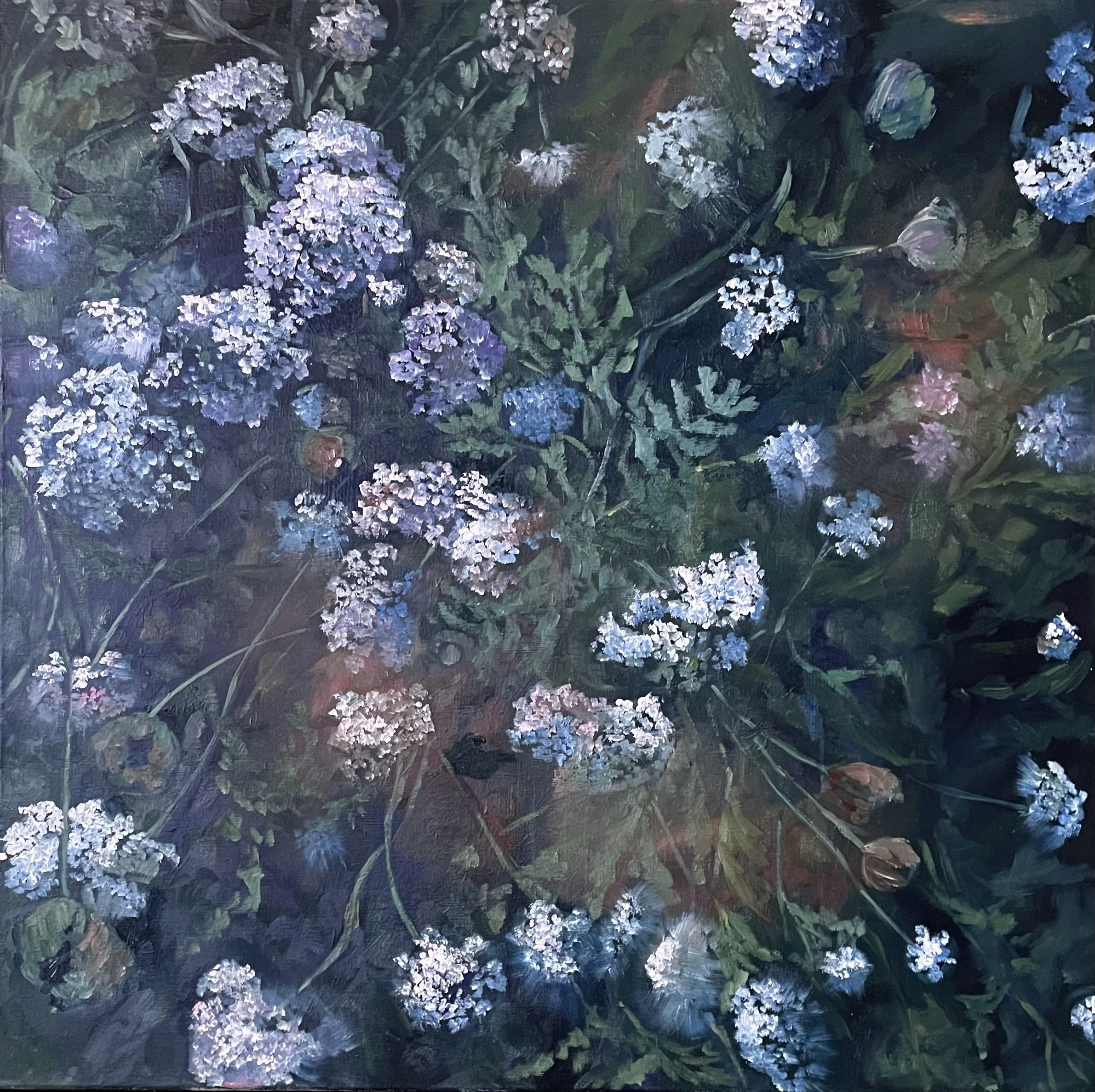 Little Lights series I - Wild Achillea