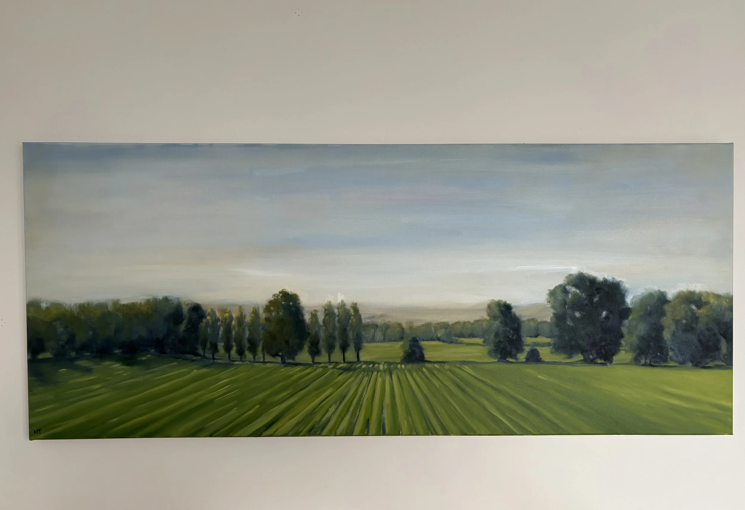 South Vines 120x50.jpg