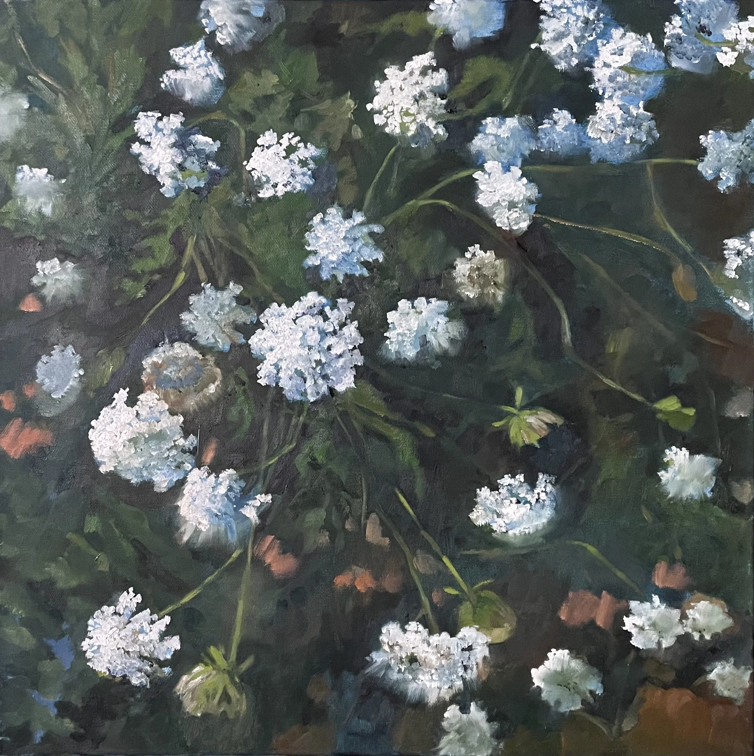 Little Lights series 1 Wild Carrot.jpg