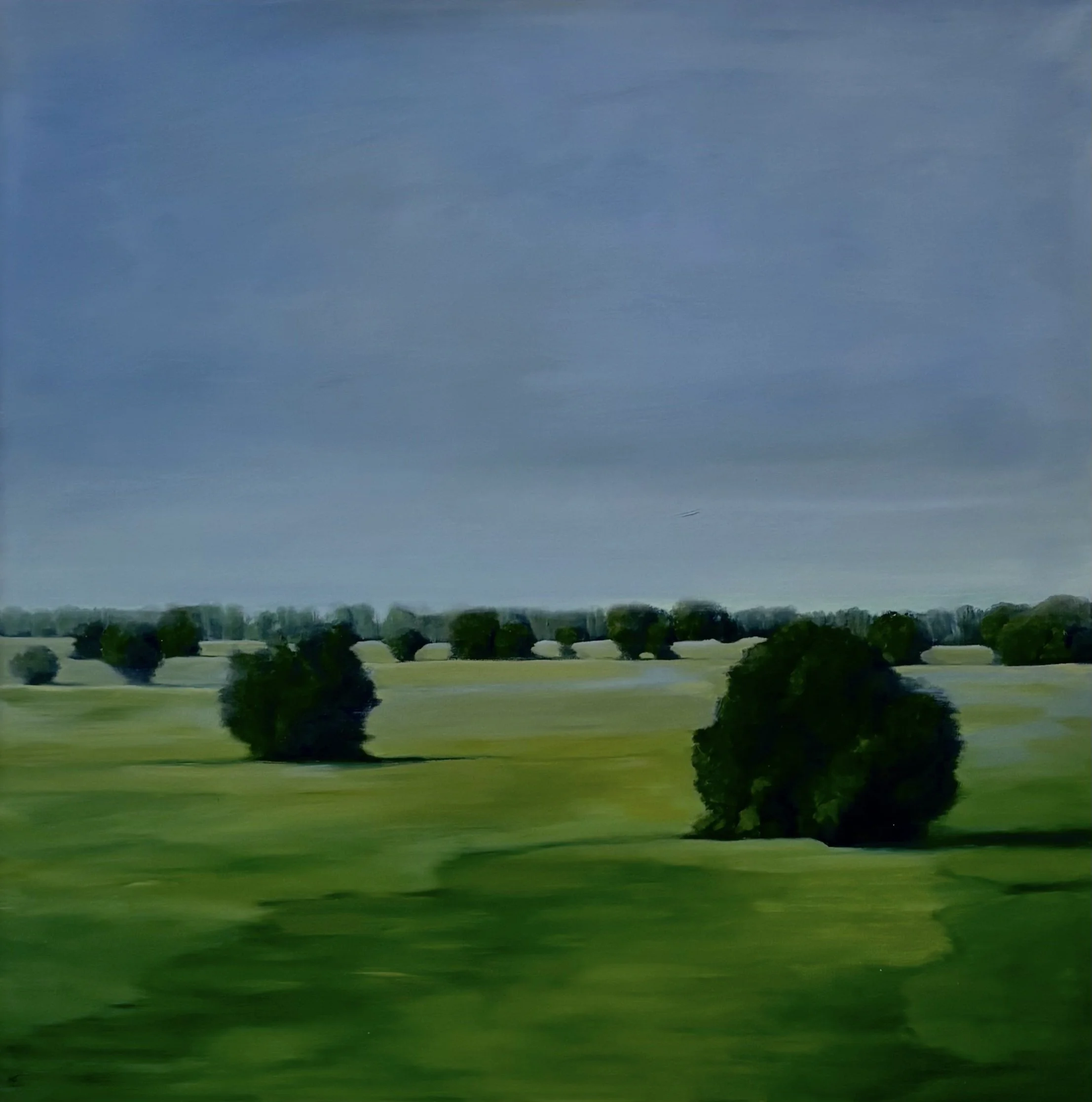 Quiet Valley