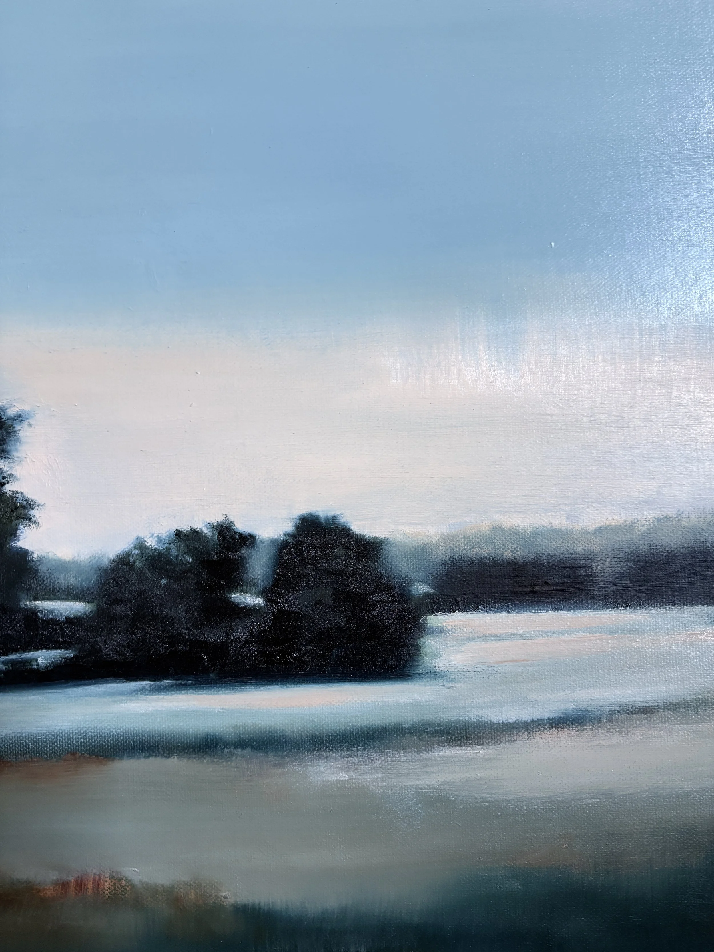 Light Snowfall detail.JPG
