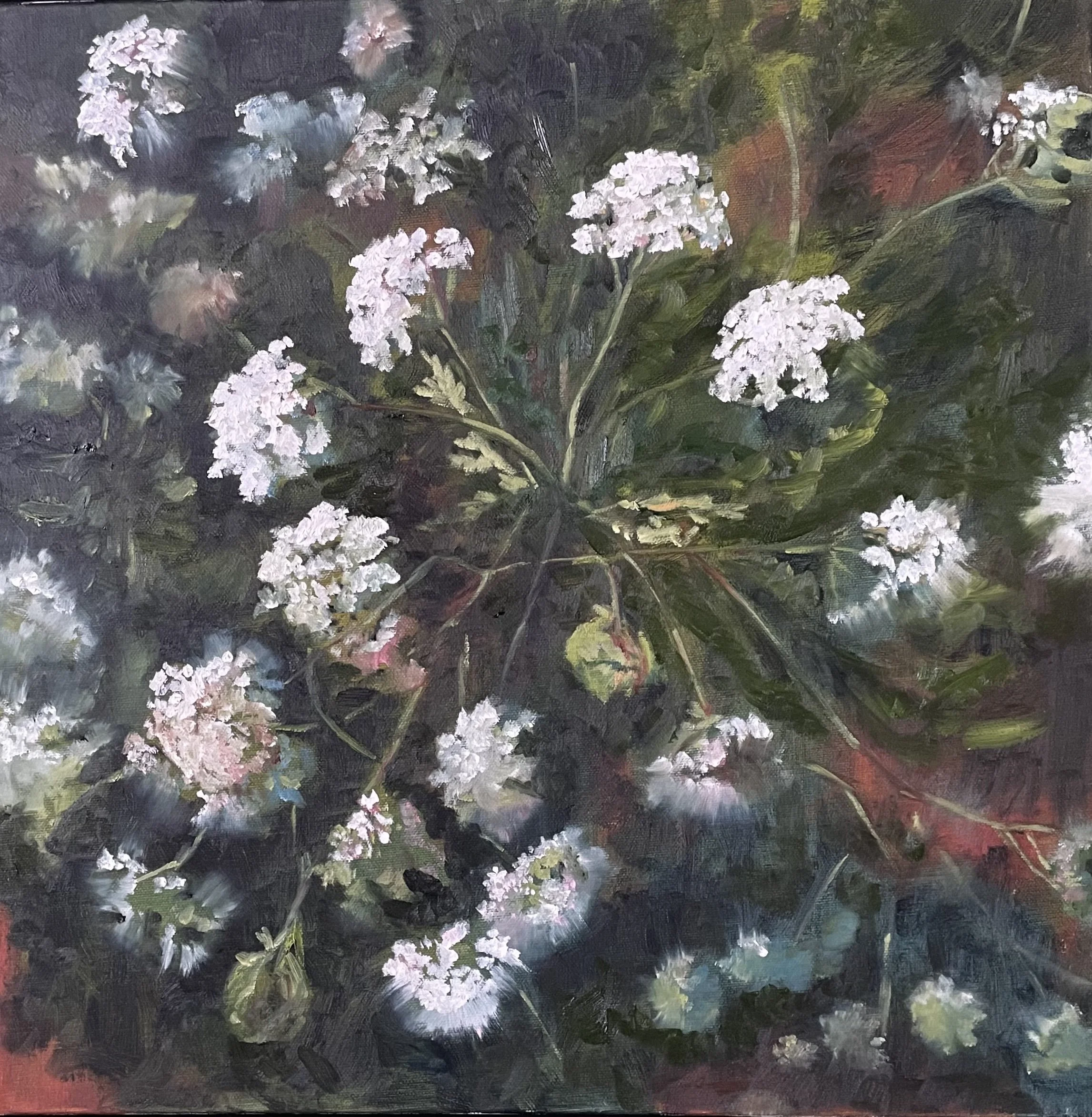 Little Lights Series 1 Wild Carrot brown.jpg