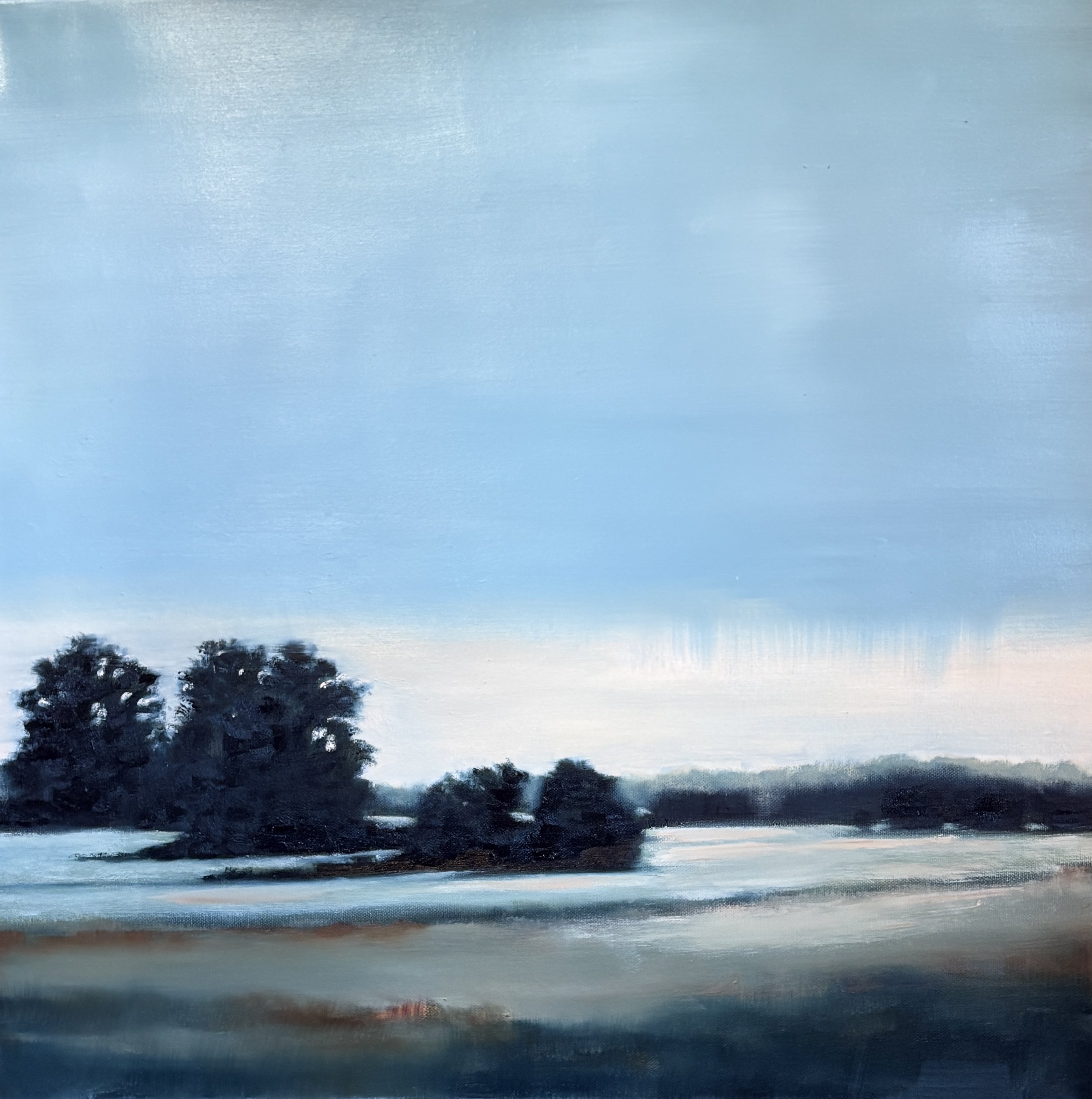Light Snowfall 3.jpg