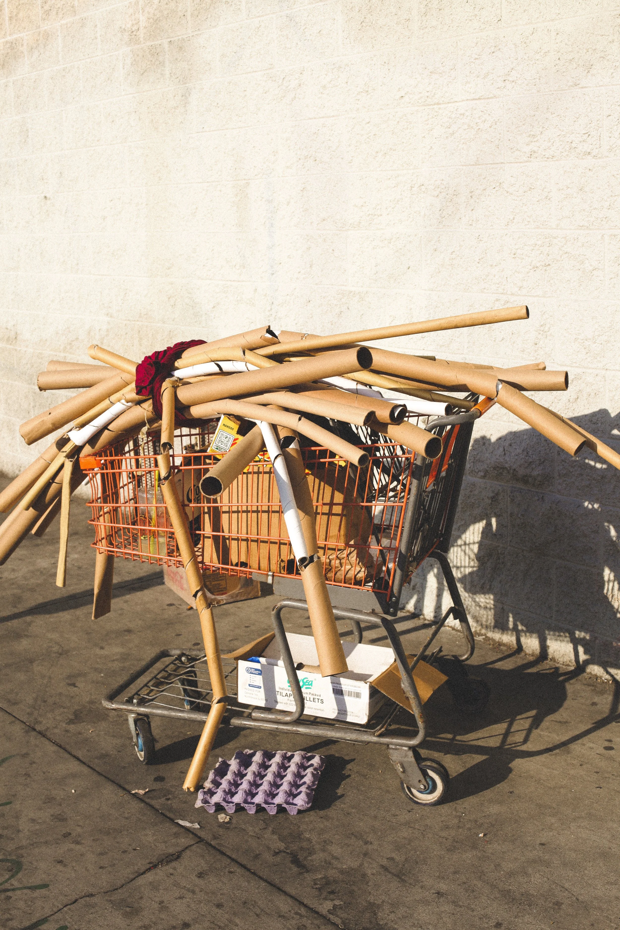 santee alley print 1