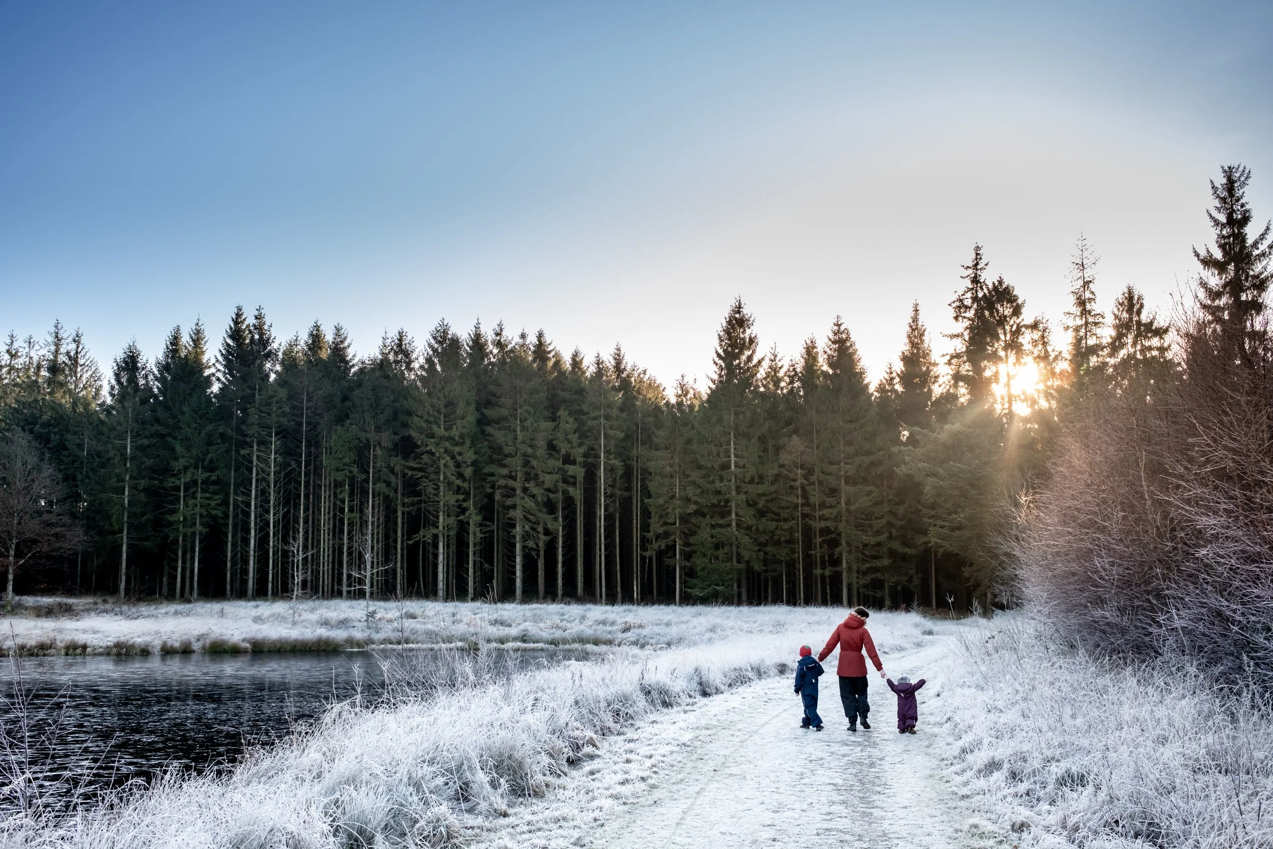 LUCKY 7+1 - December