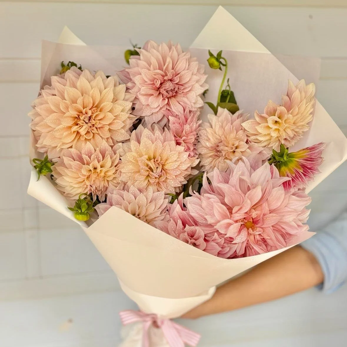 Ridgeway Park Dahlia Bunch