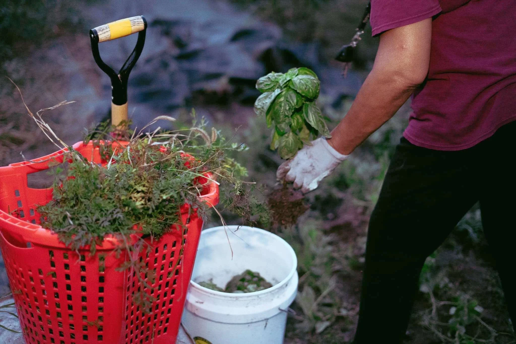 HHI Supports Edgemont’s Community Garden Initiative