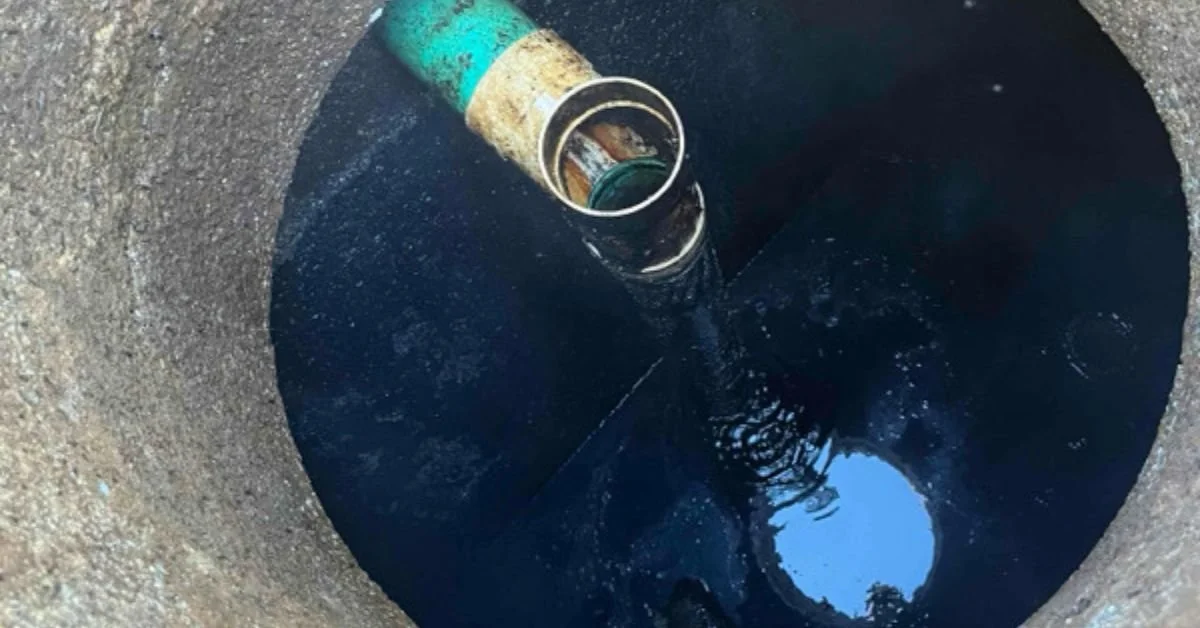 Partnering With Local Companies for Cooking Oil Recycling