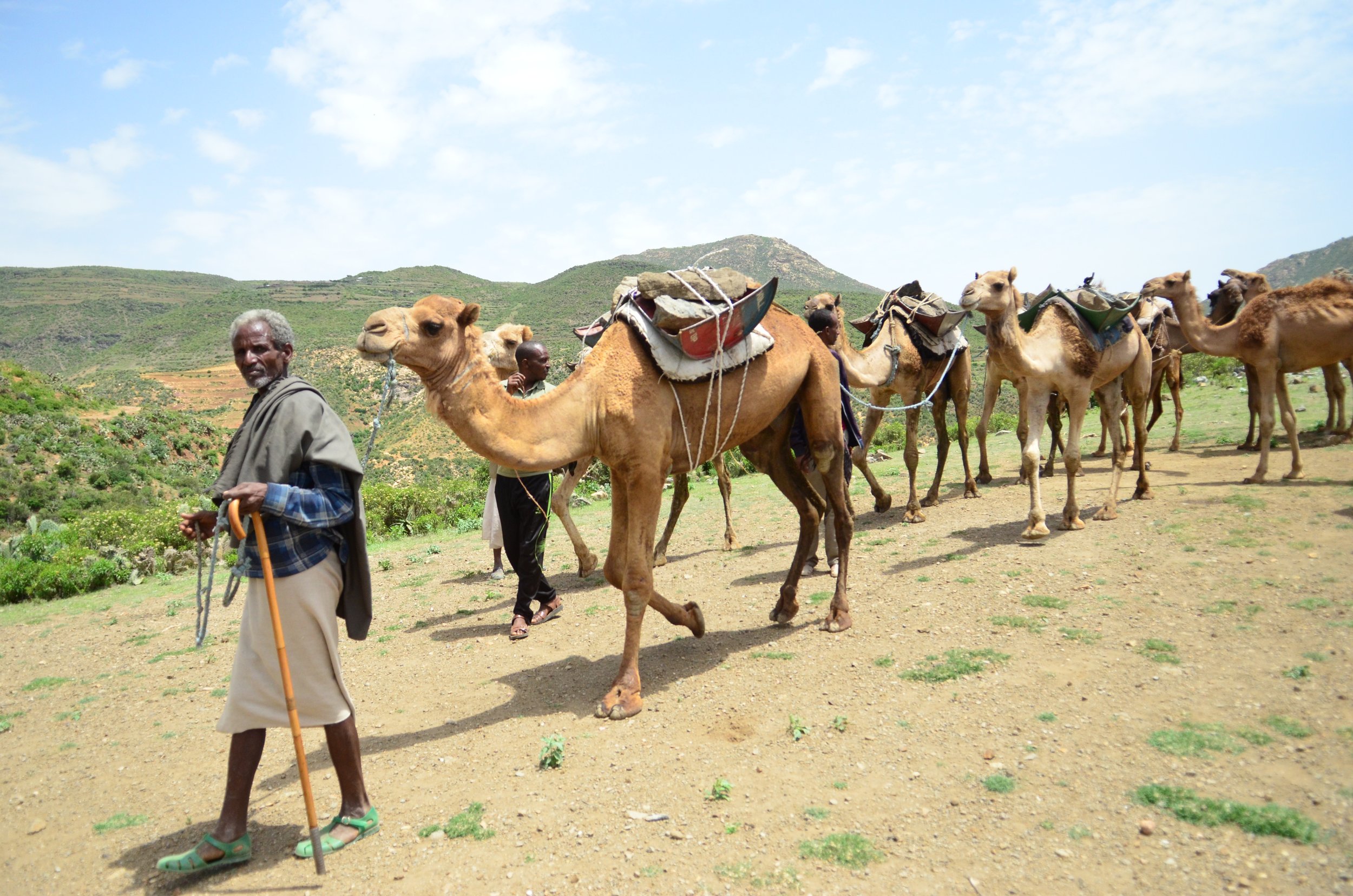 Gonoq DBH-transporting const. materials by camels-052016-H16_9982 (26).JPG