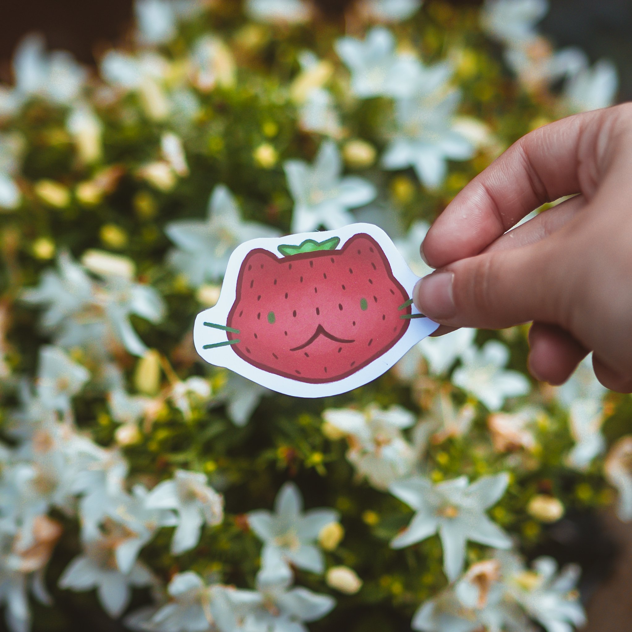 product photos (2 of 19).JPG