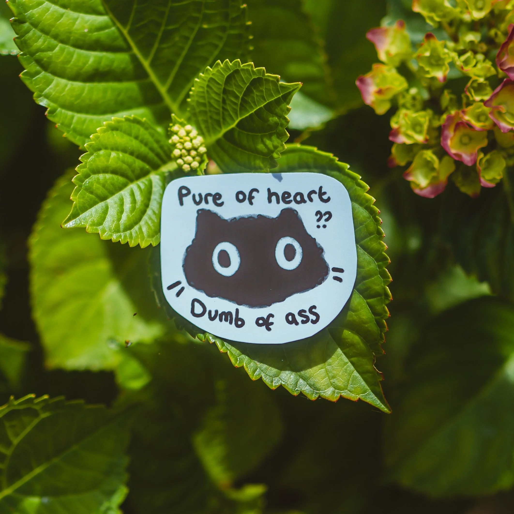 product photos (4 of 19).JPG