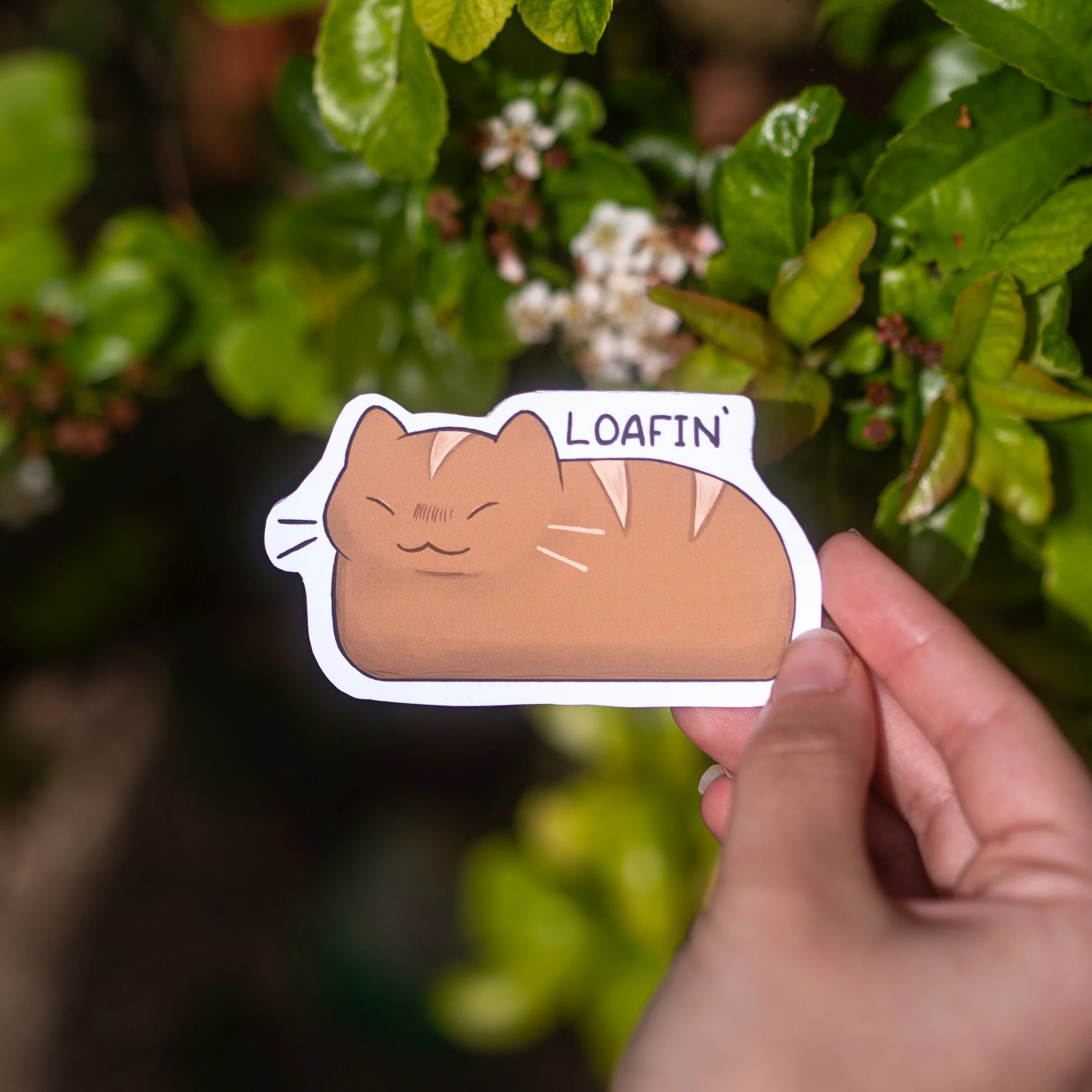 Cat sticker | Series 1