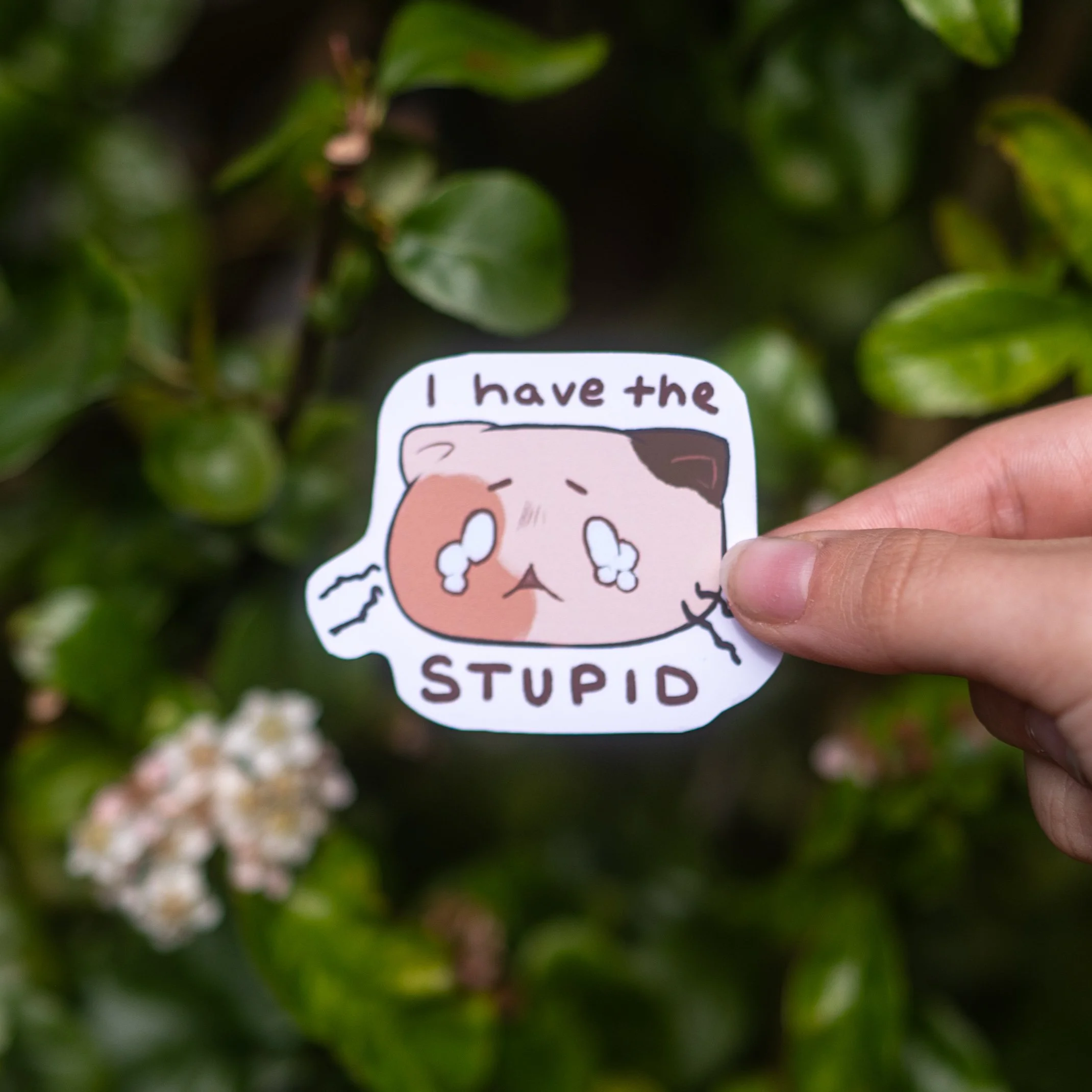 product photos (9 of 19).JPG