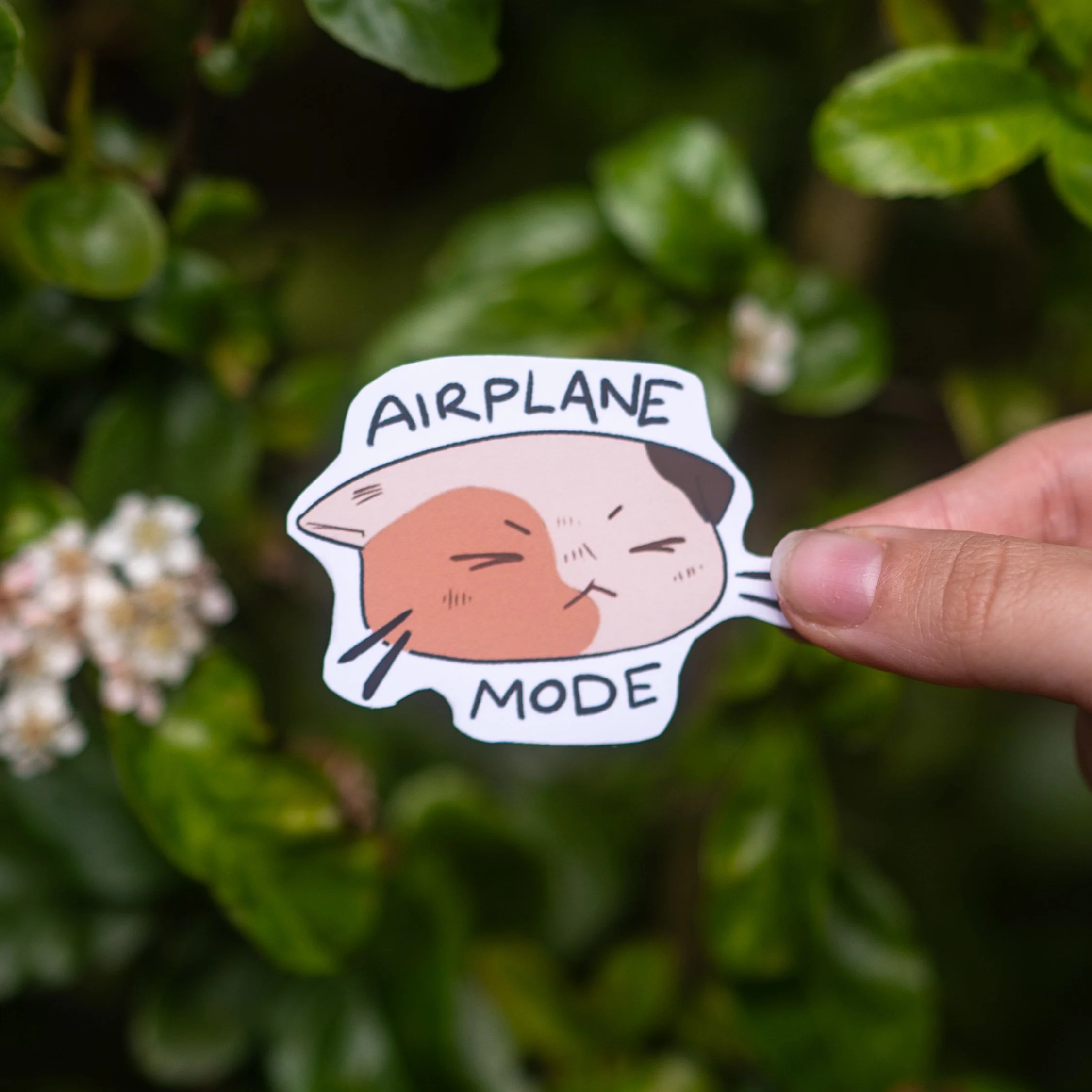 product photos (10 of 19).JPG