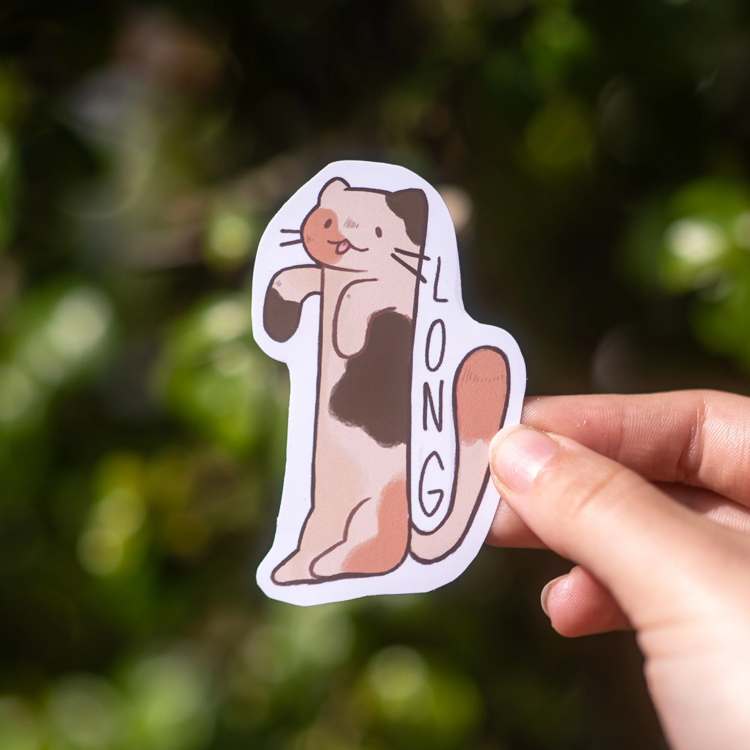 product photos (12 of 19).JPG