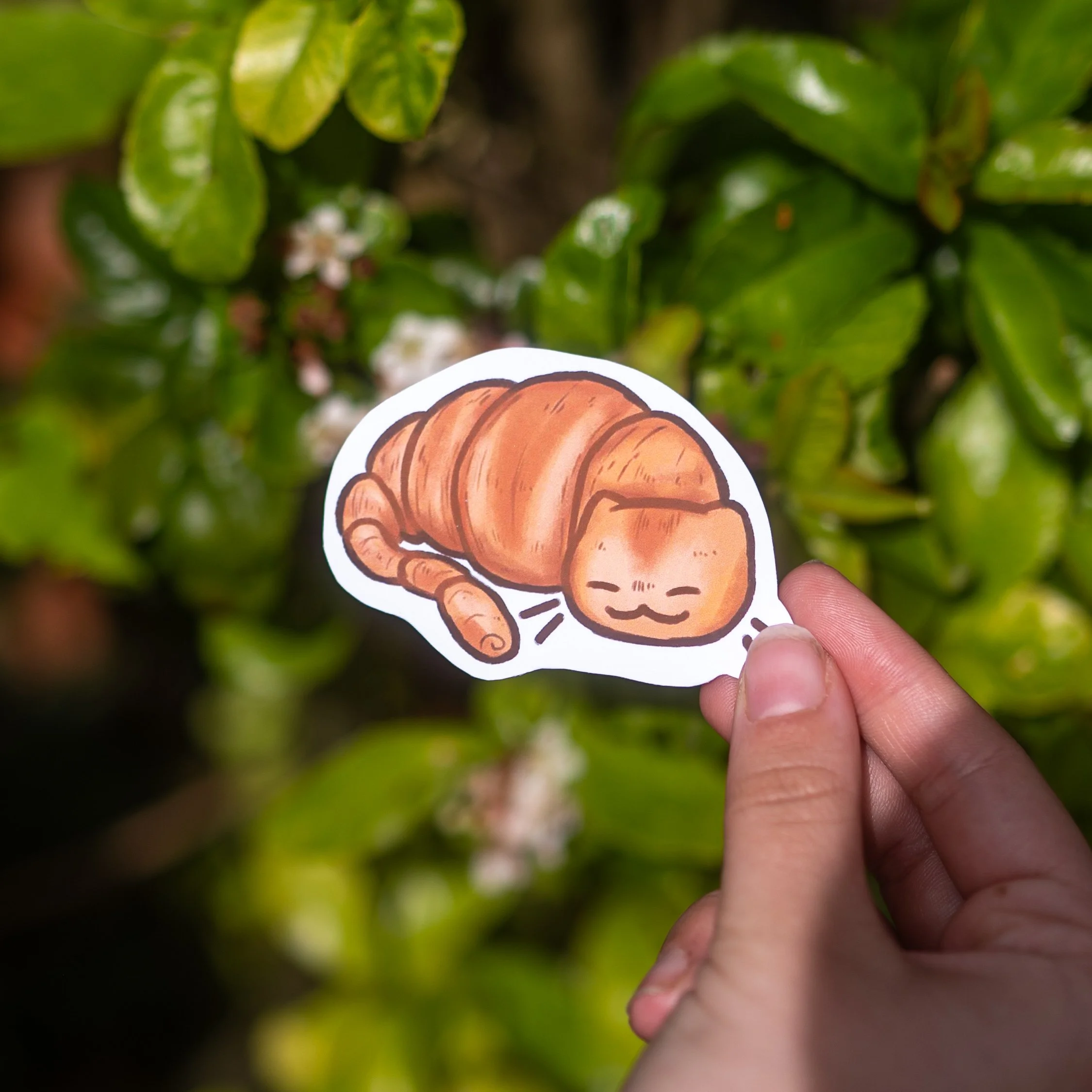 product photos (13 of 19).JPG