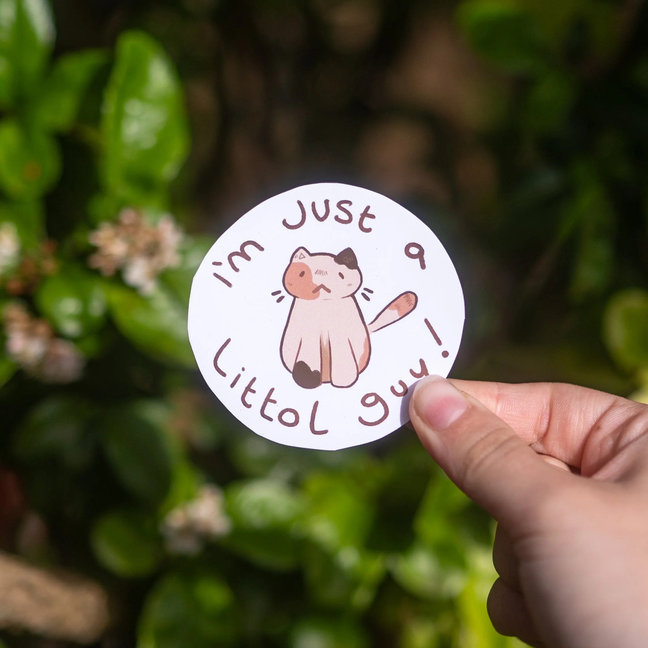 product photos (16 of 19).JPG