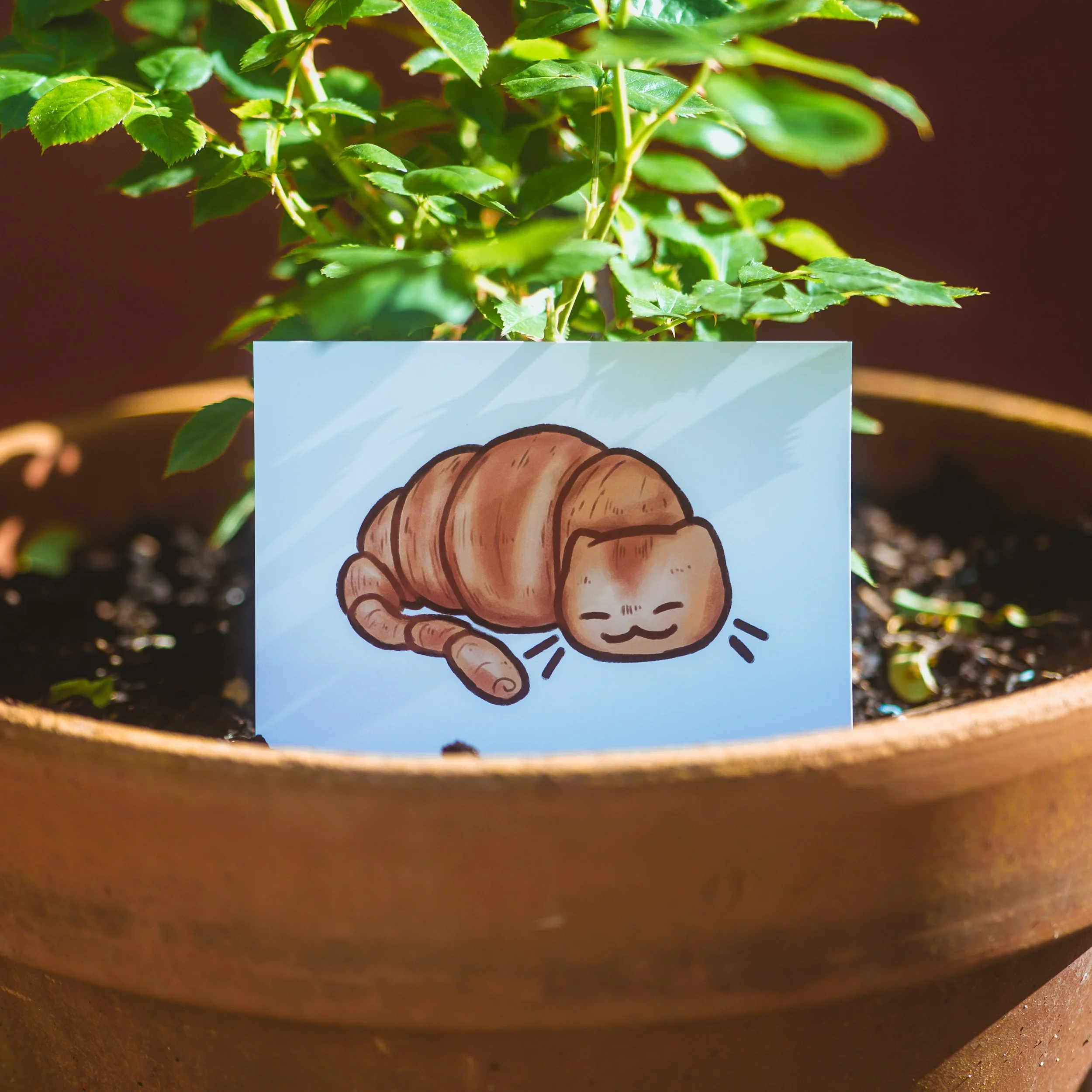 product photos (1 of 15).JPG