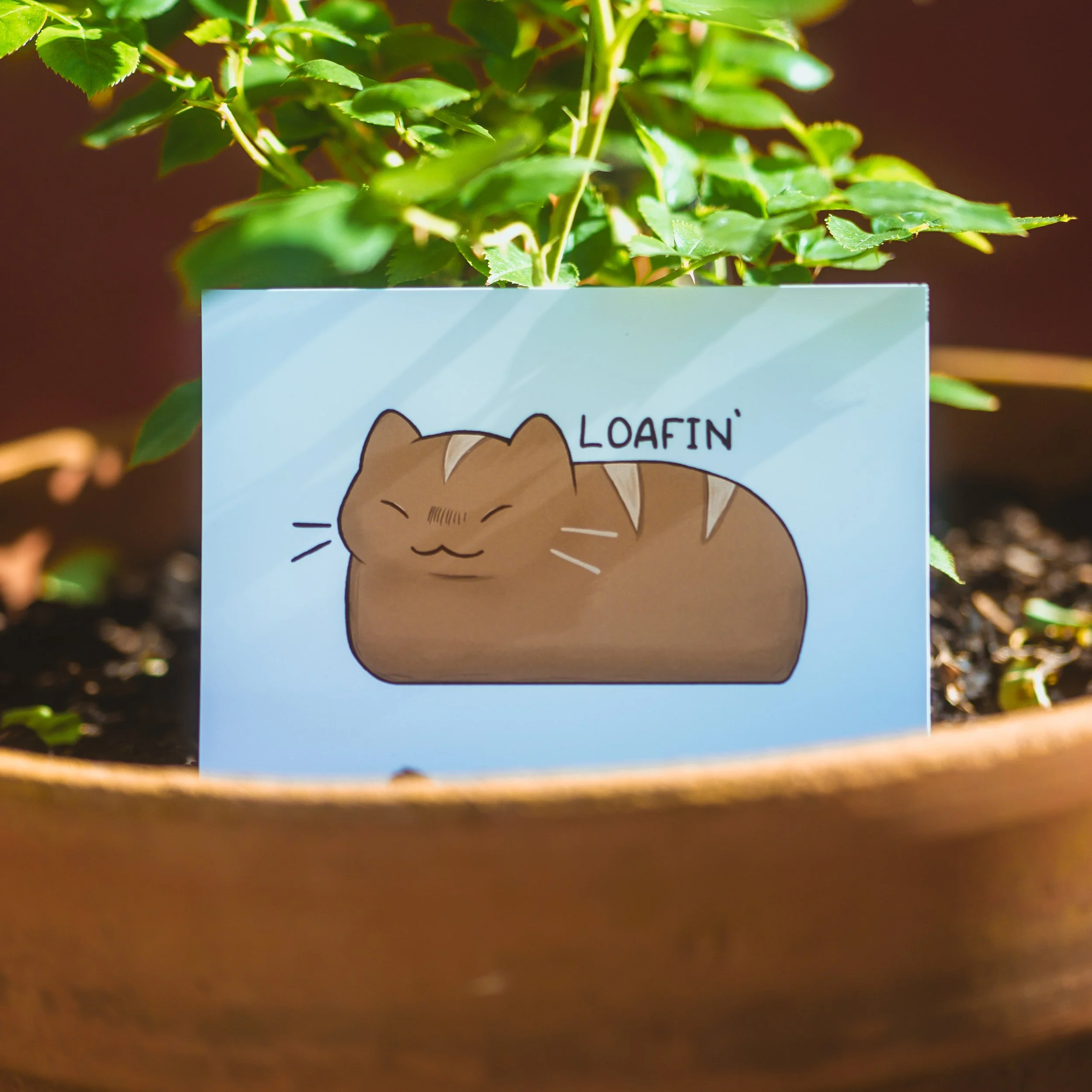 product photos (4 of 15).JPG