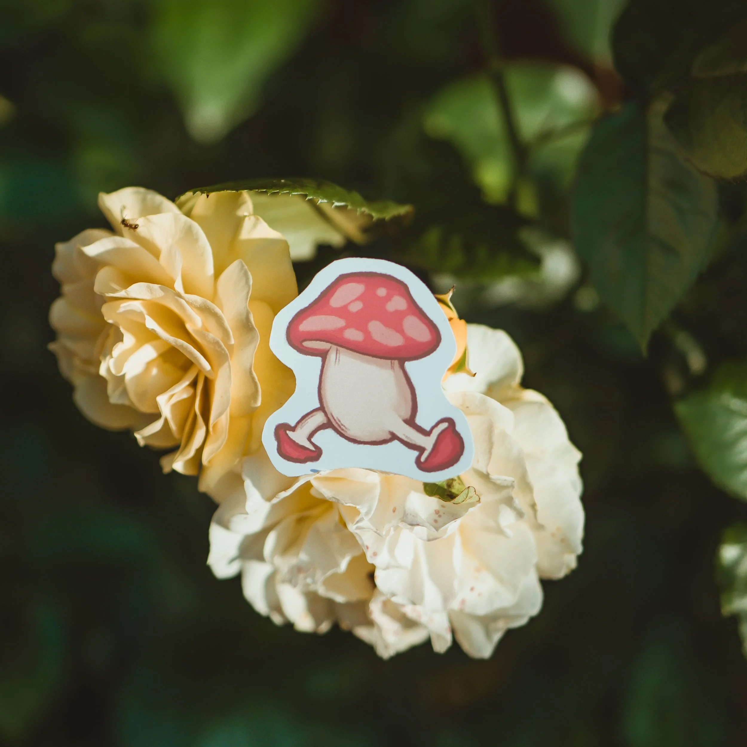 product 07.24 (9 of 17).JPG