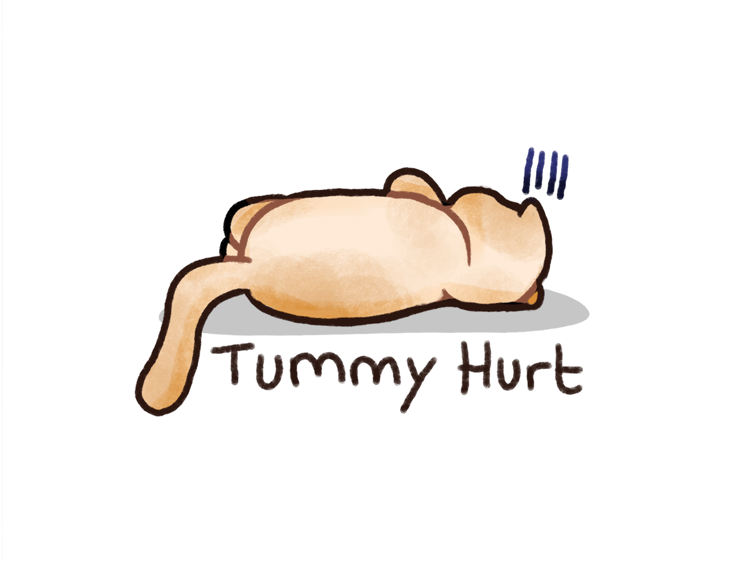 Tummy Hurt | Cat sticker
