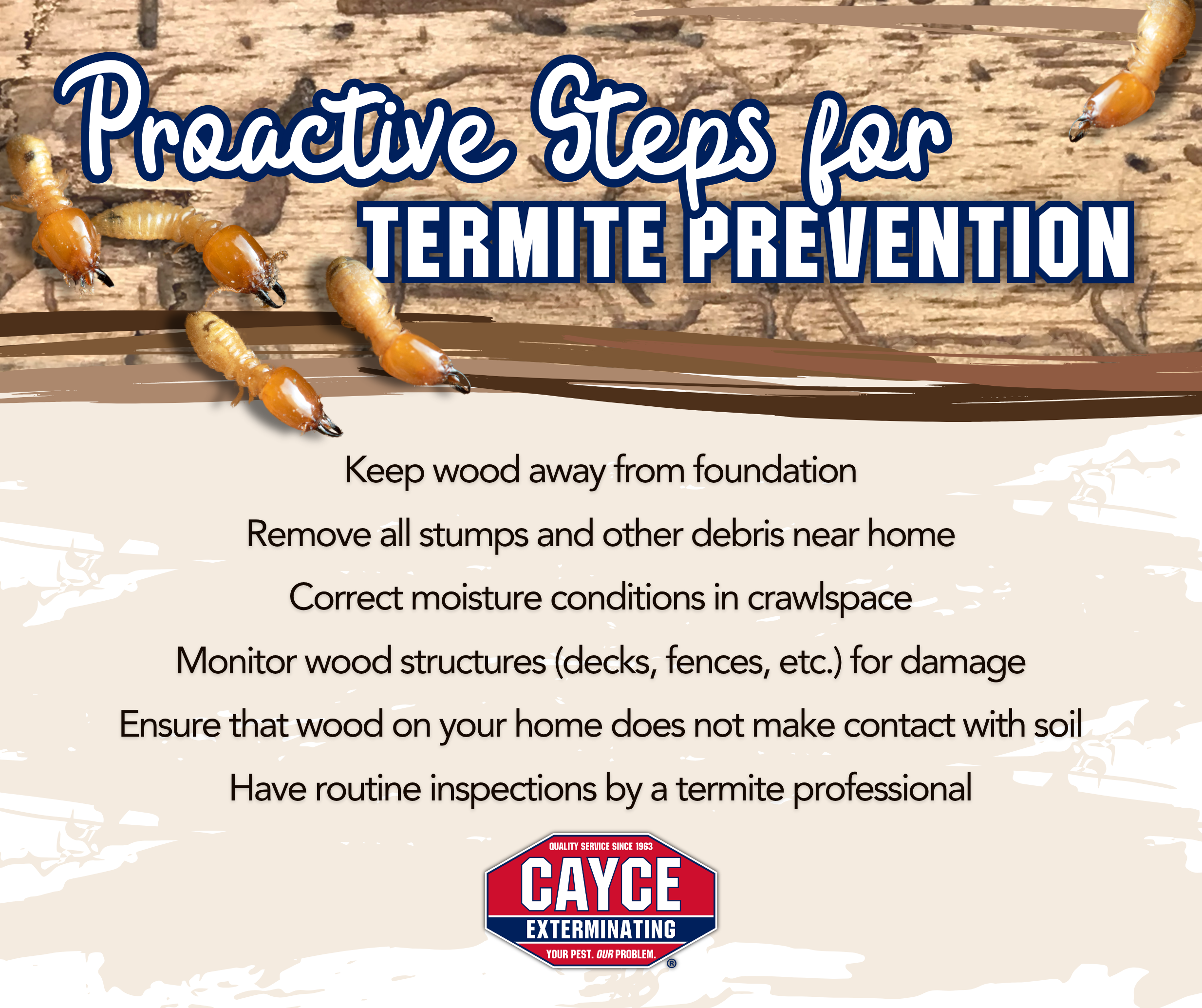Termite Prevention.png