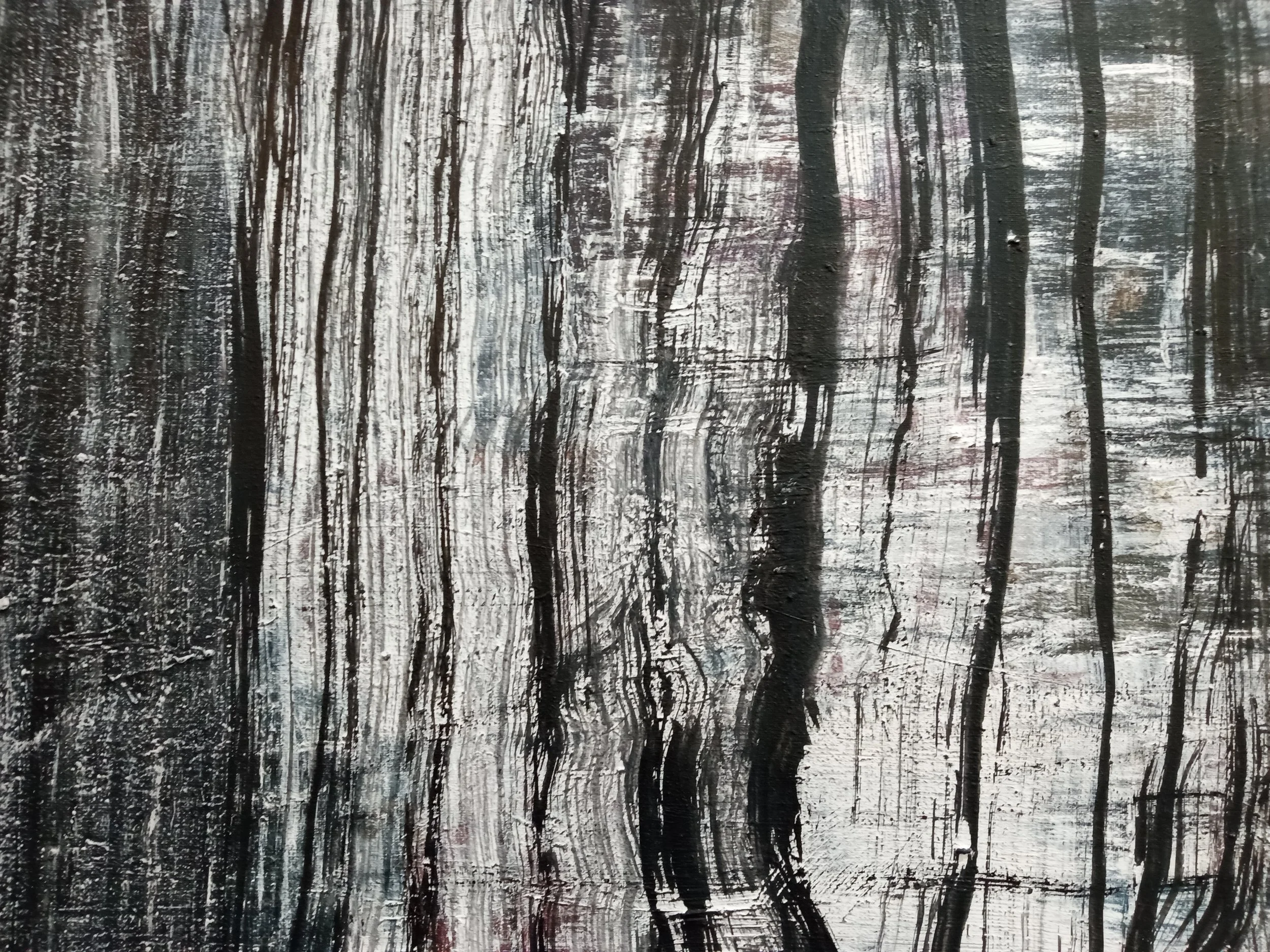 Winter Forest 3.jpg