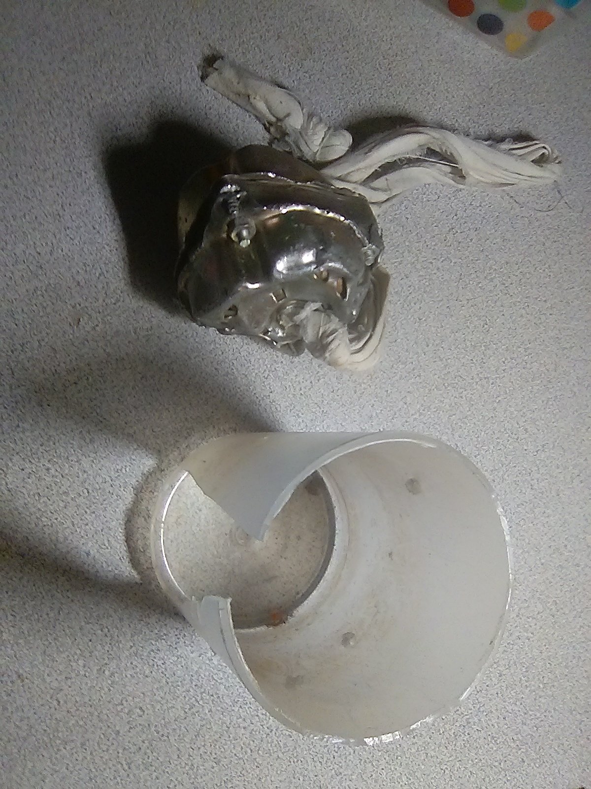 20240303_060316.jpg