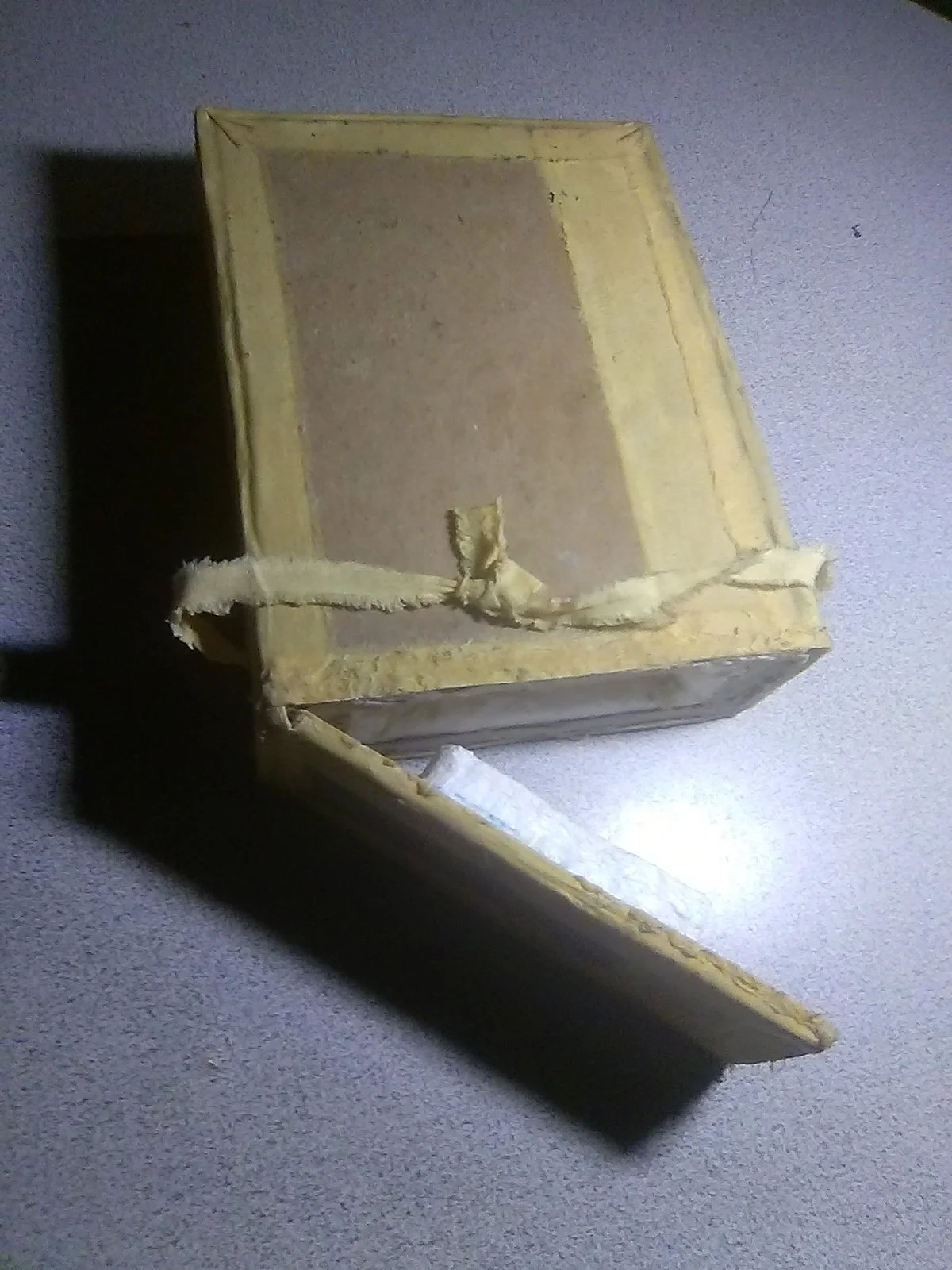 20240303_060017.jpg