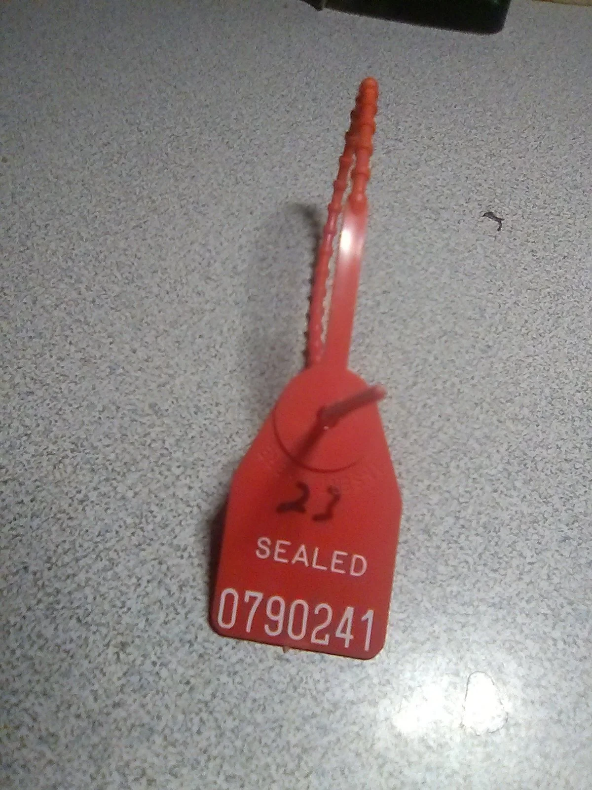 20240303_061424.jpg