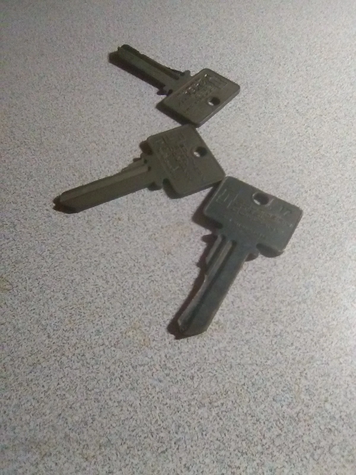 20240303_055932.jpg