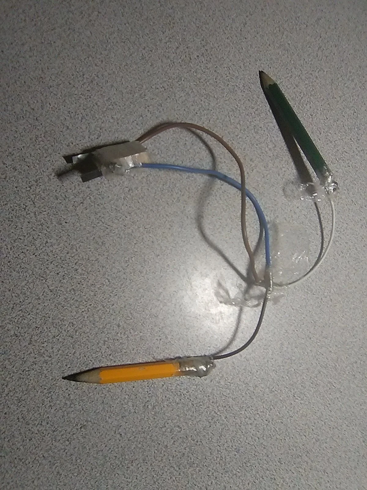 20240303_060519.jpg