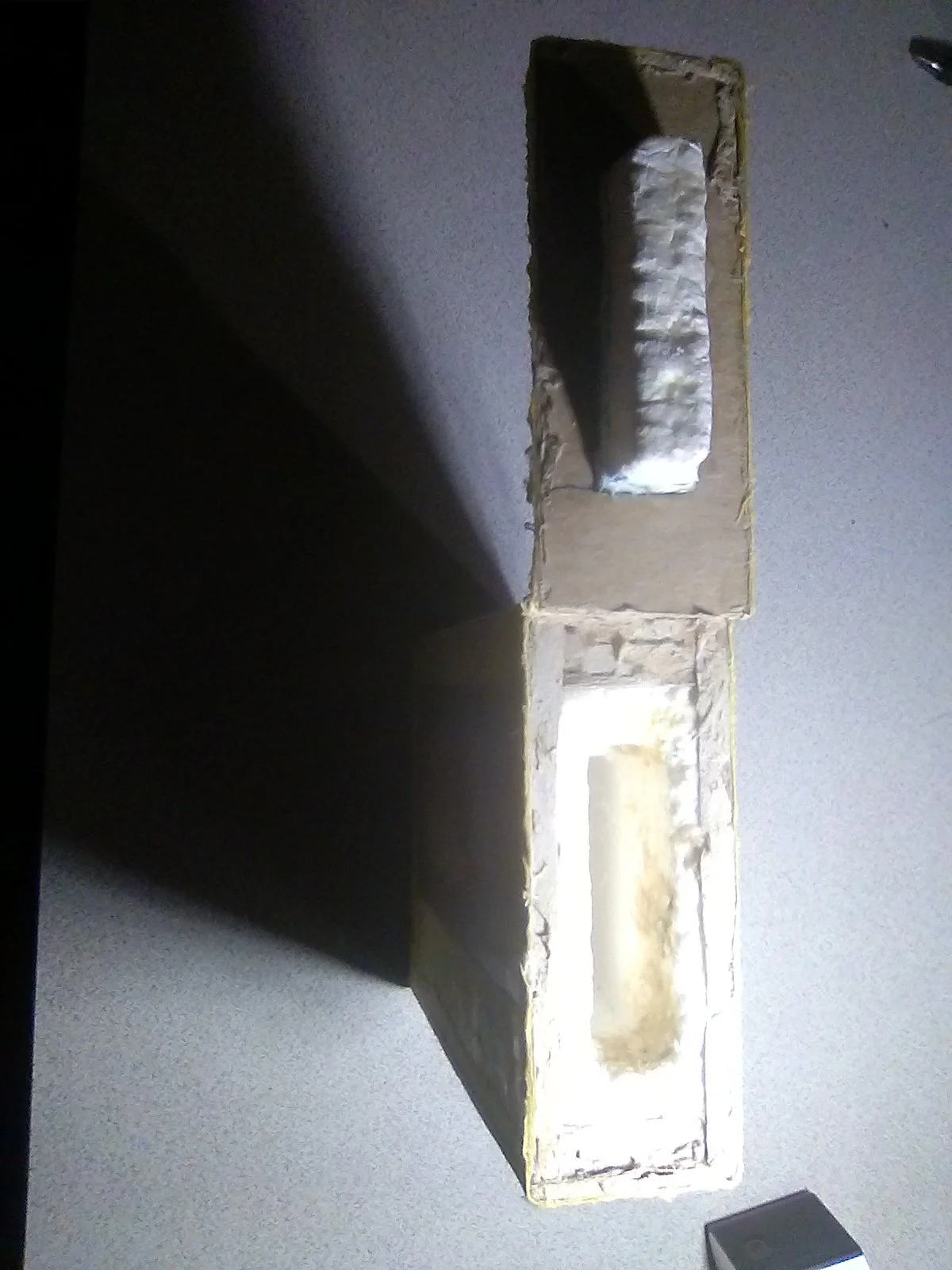 20240303_060030.jpg