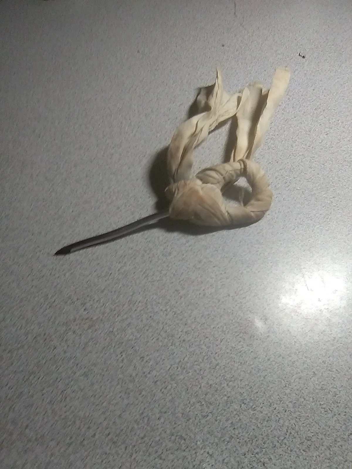 20240303_055843.jpg