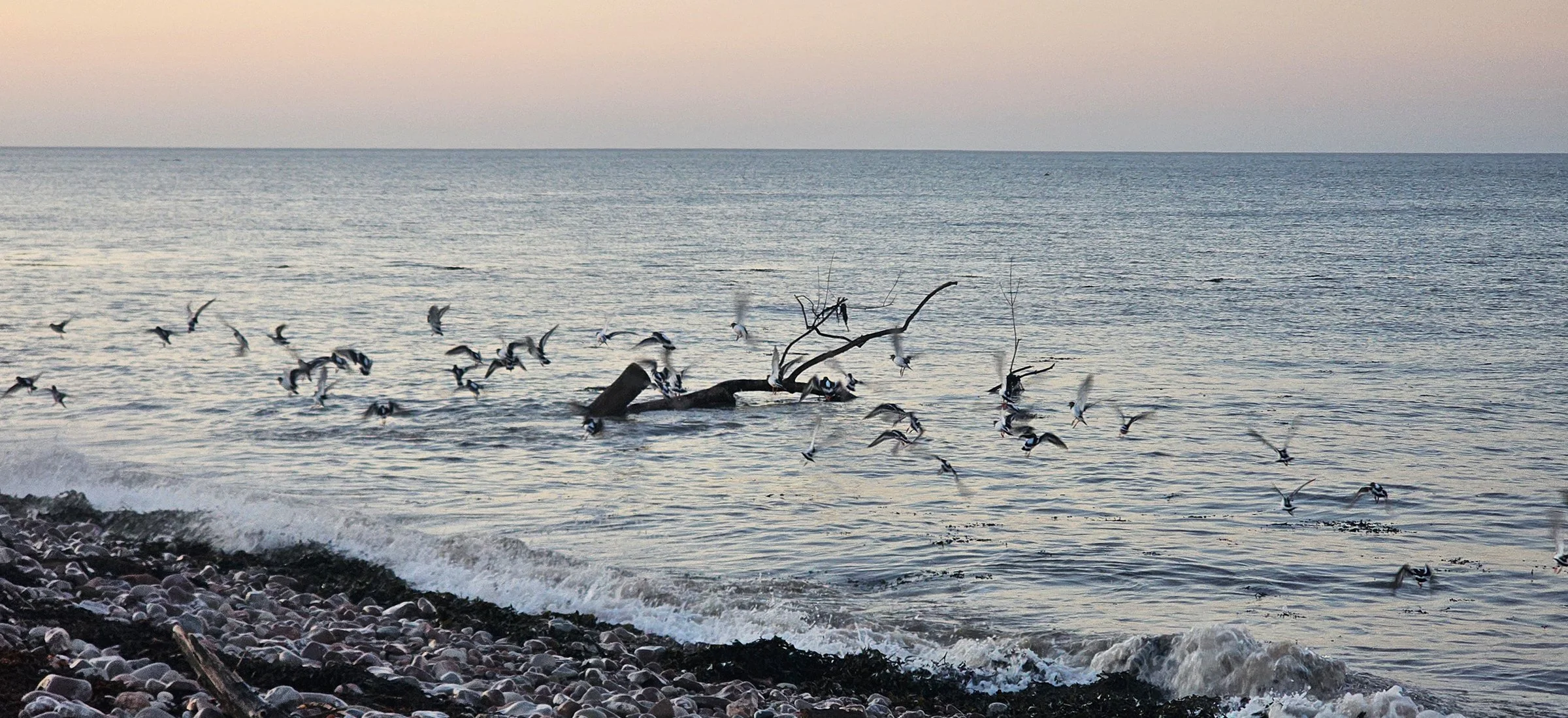 More Tips for Practising (and Teaching) Yin Yoga