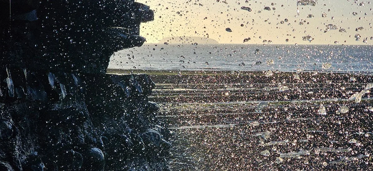 Liquid water on beach