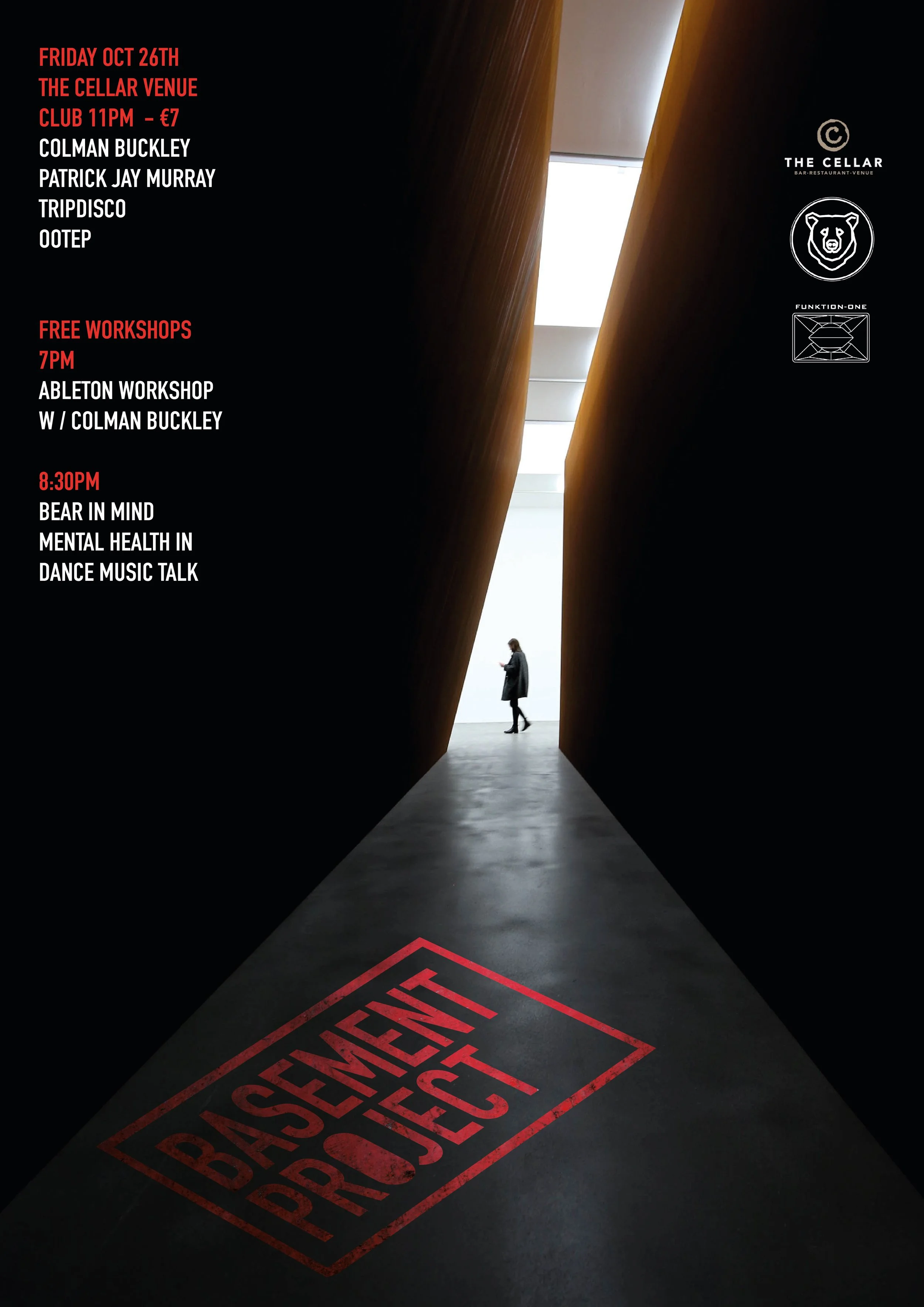 Basement Project 26 Oct-01.jpg